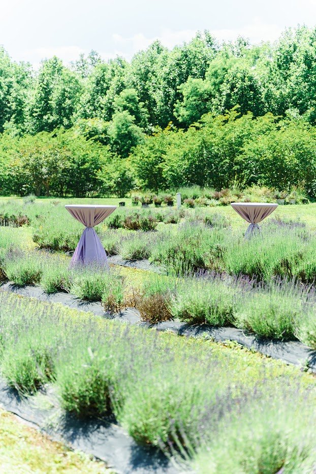 Lavender Field Table.jpg