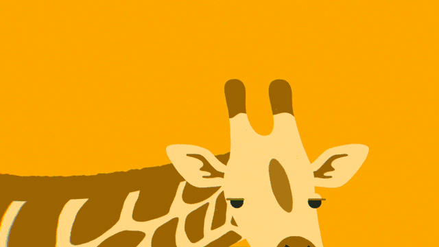 TED-Savanna-Mystery_Giraffe.gif