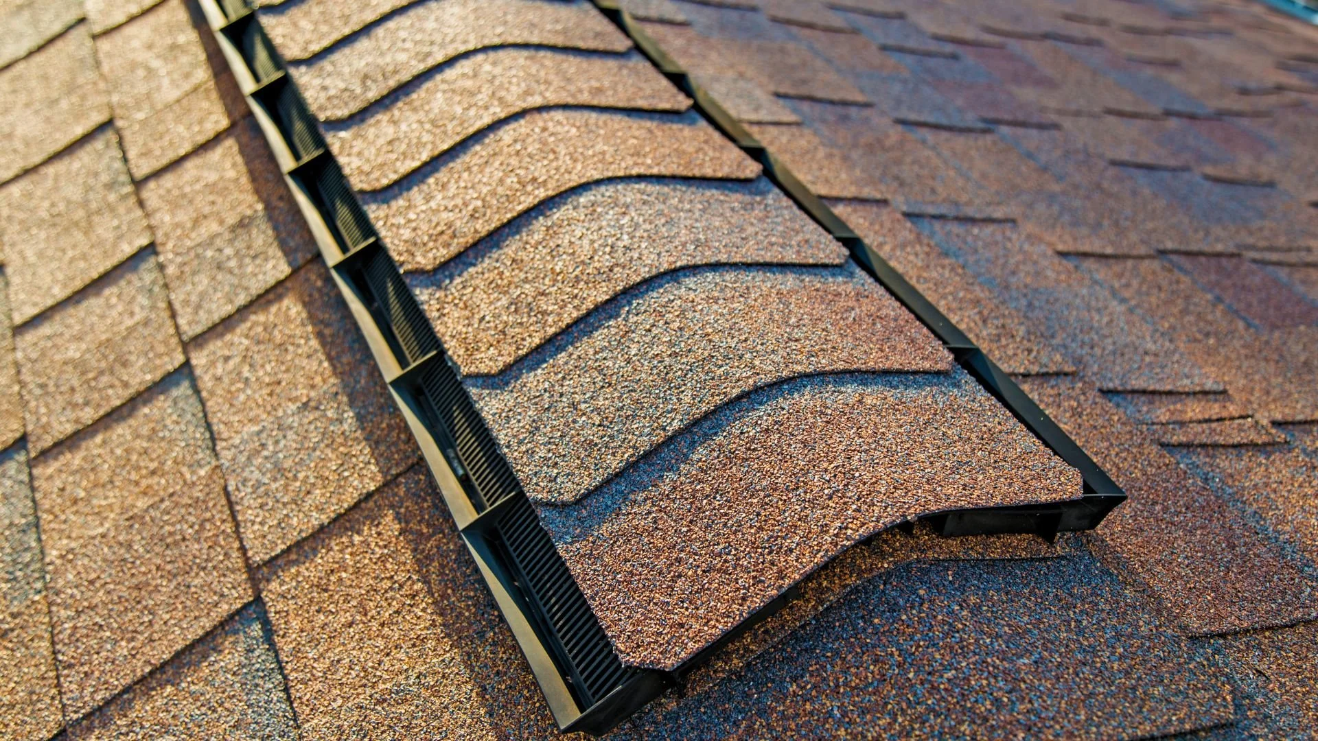 pro shot corrected  asphalt shingle .jpg