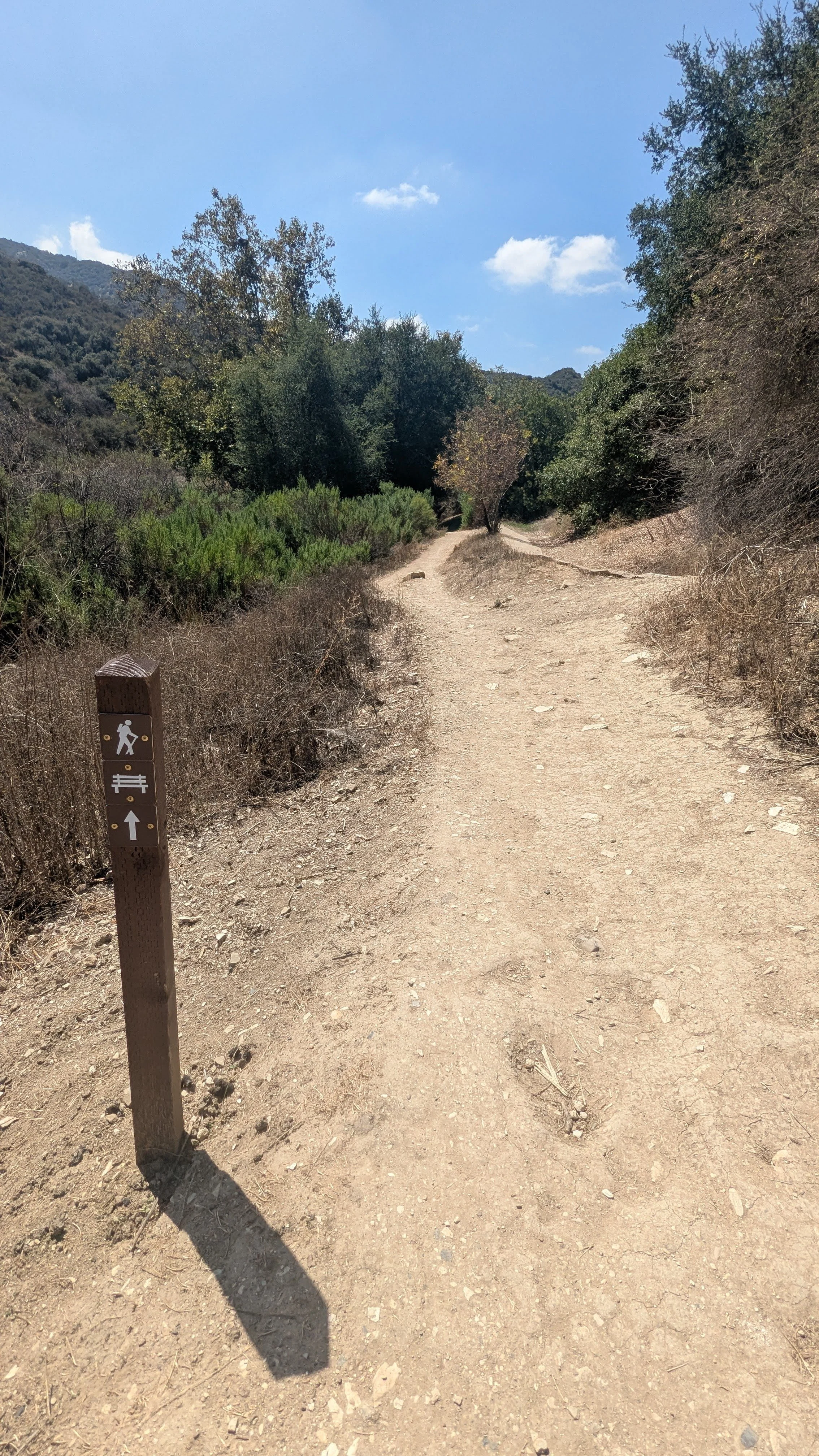 Caballero_Oak2.jpg