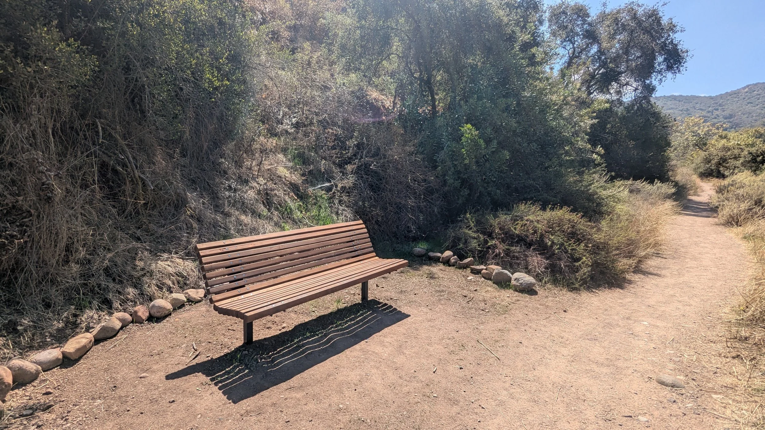 Caballero_Oak3.jpg