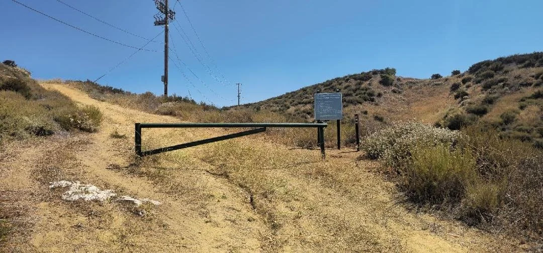 Browns Cyn 06.27.25 (6).jpg