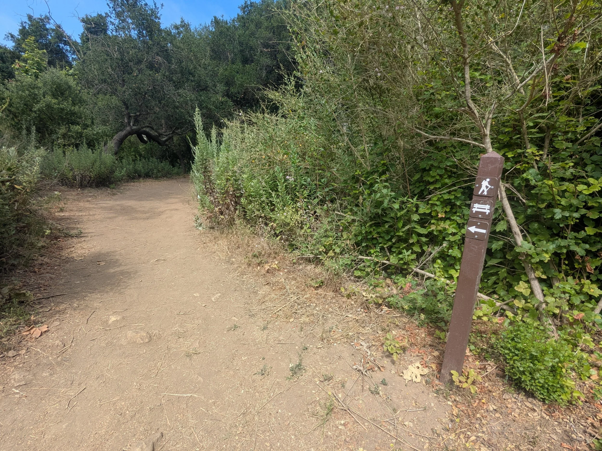 RandallEscondido2.jpg