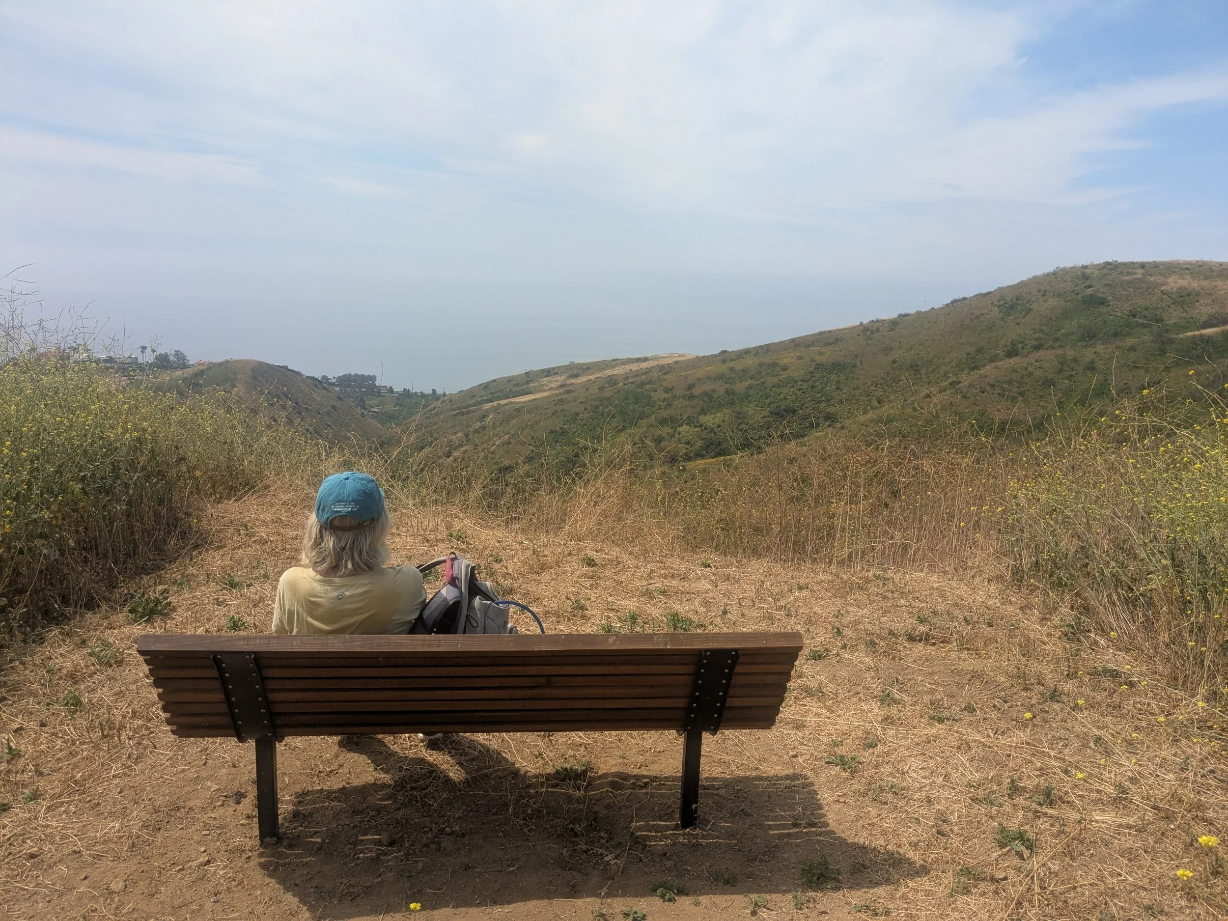 Randall_Cameron_bench1c.jpg