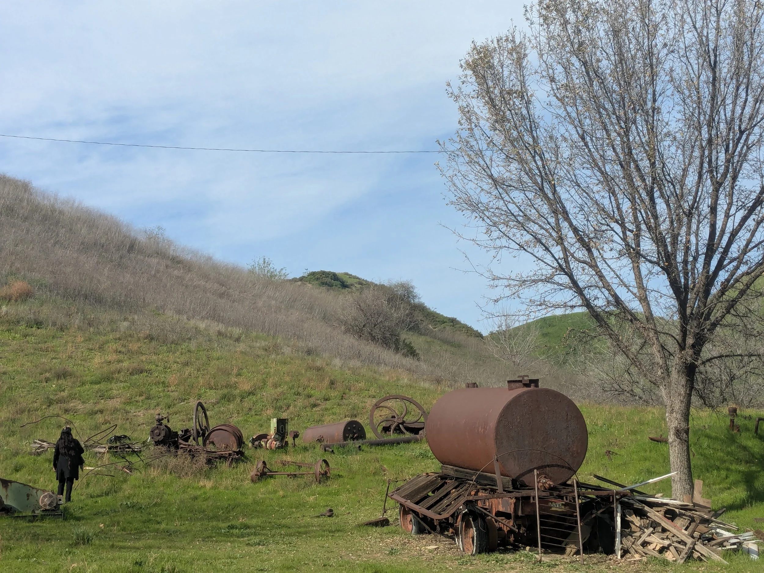 Pico_Canyon1c_LR.jpg