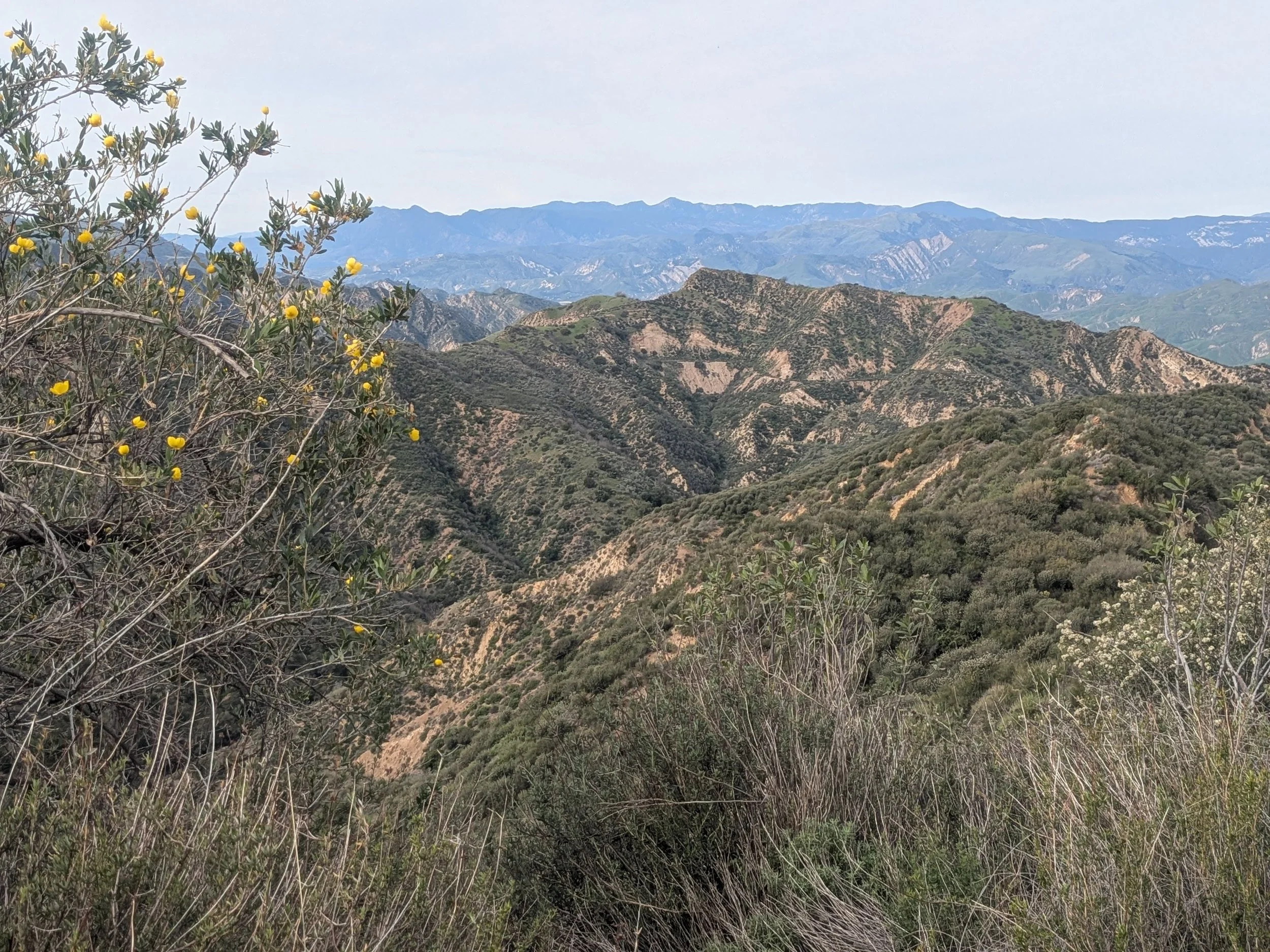 Pico_Canyon2e_LR.jpg