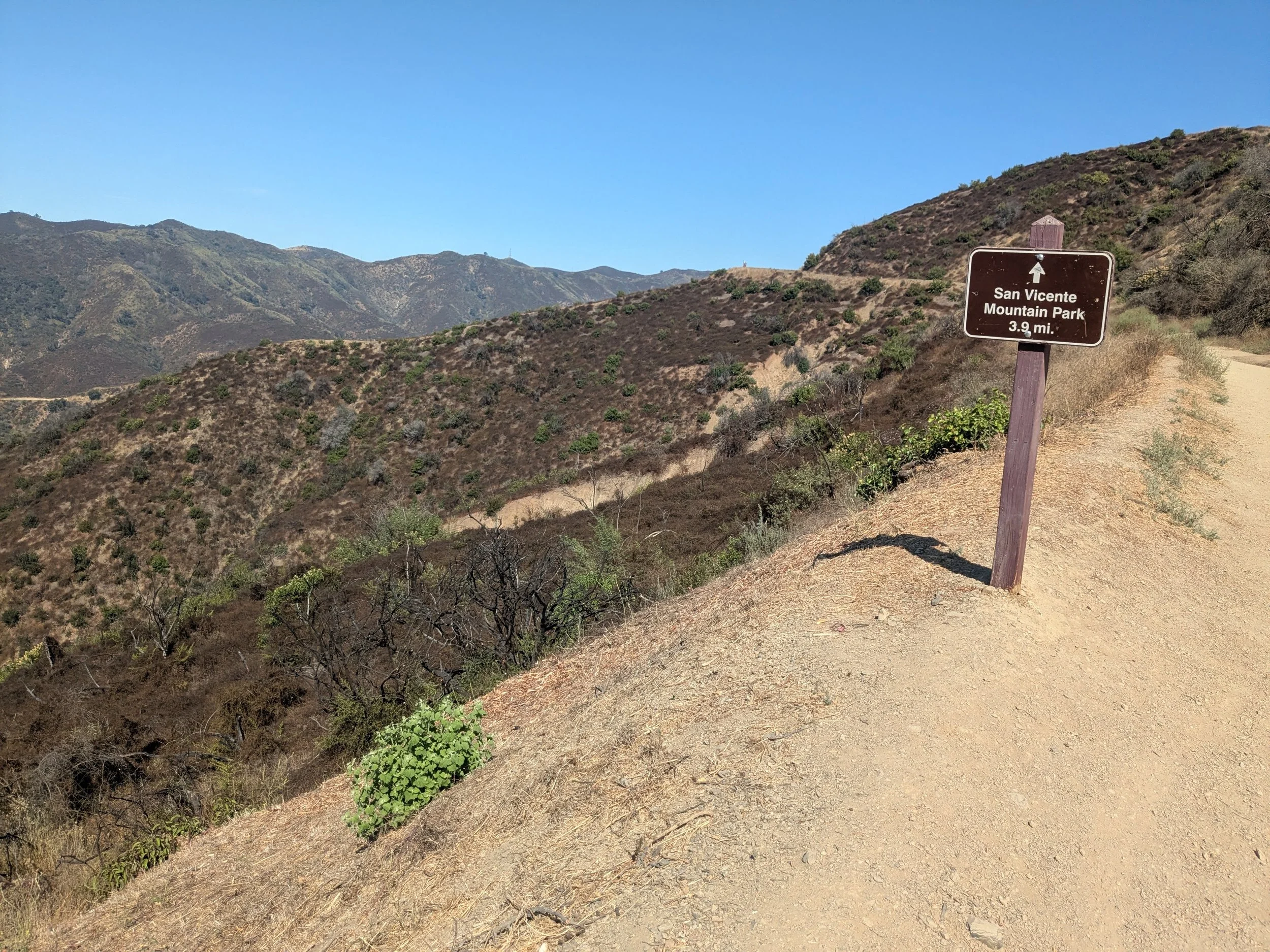 Westridge_Mandeville4.jpg