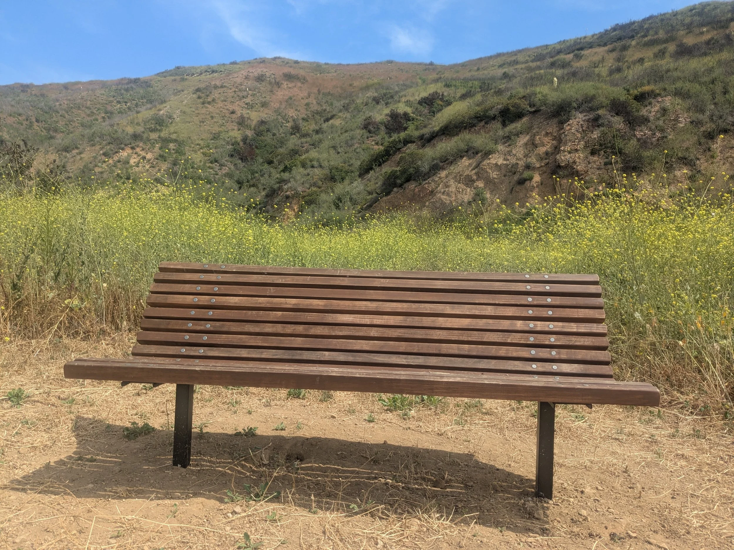 Randall_Cameron_bench2d.jpg