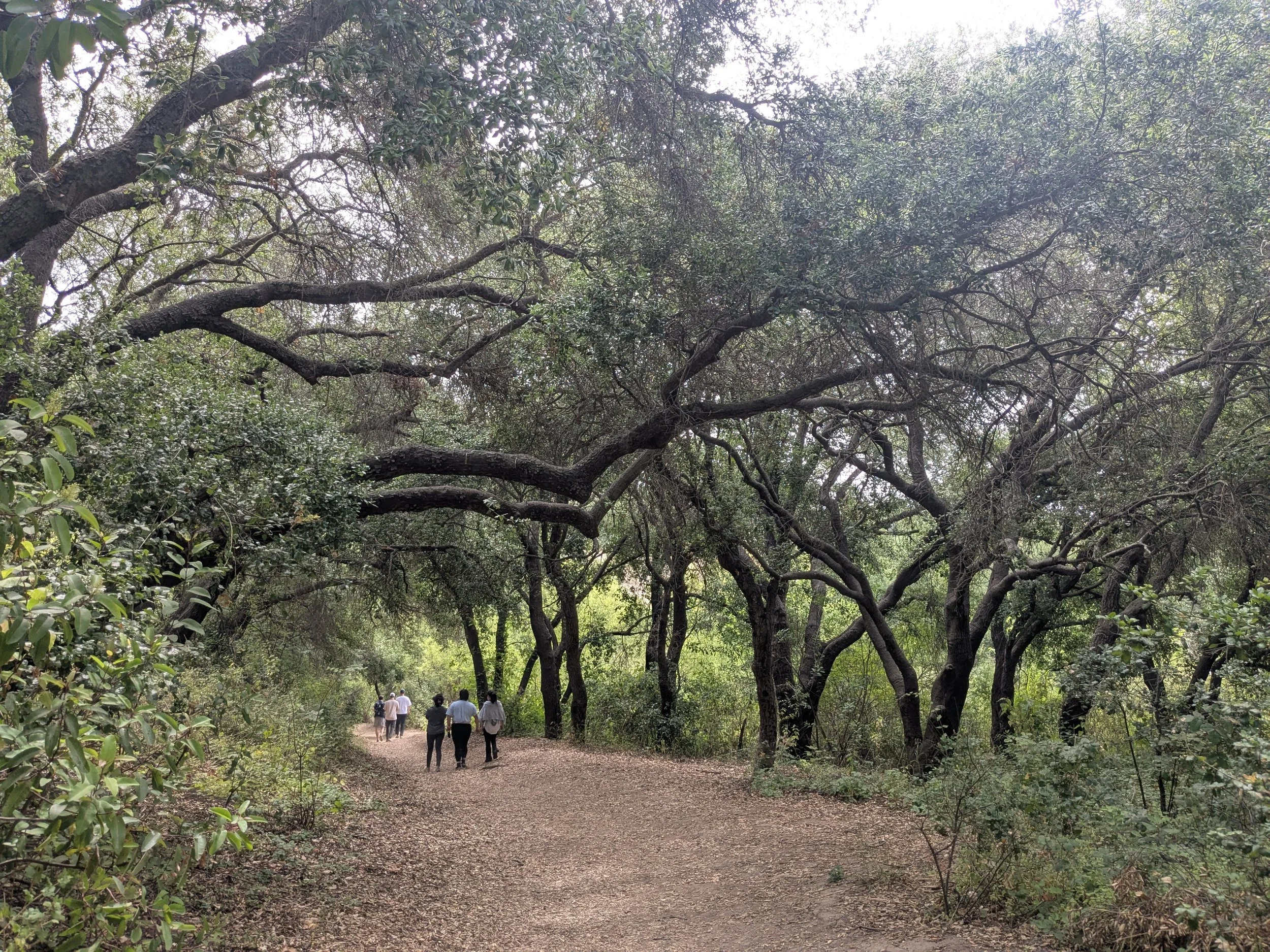 Randall_Escondido6.jpg