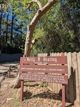 Wilacre4_Randall.jpg