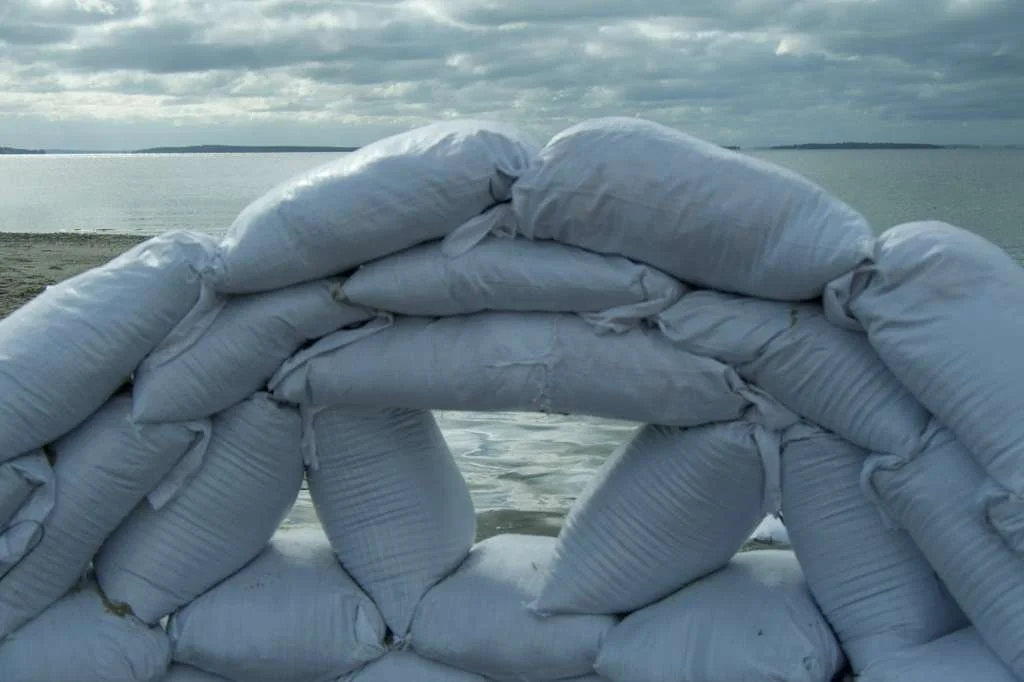 PHOTO-2025-10-28-22-40-39 (1).jpg