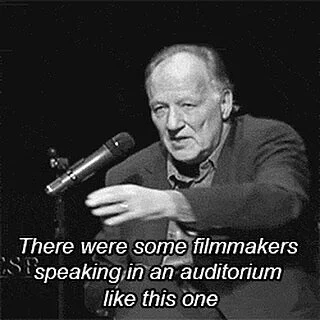 The Herzog Hornet is our spirit animal.