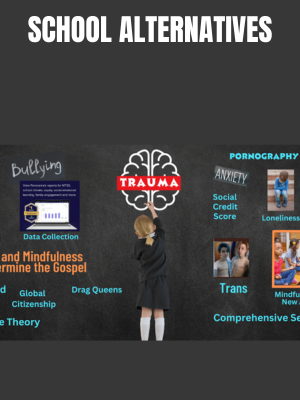 School Alternatives.png