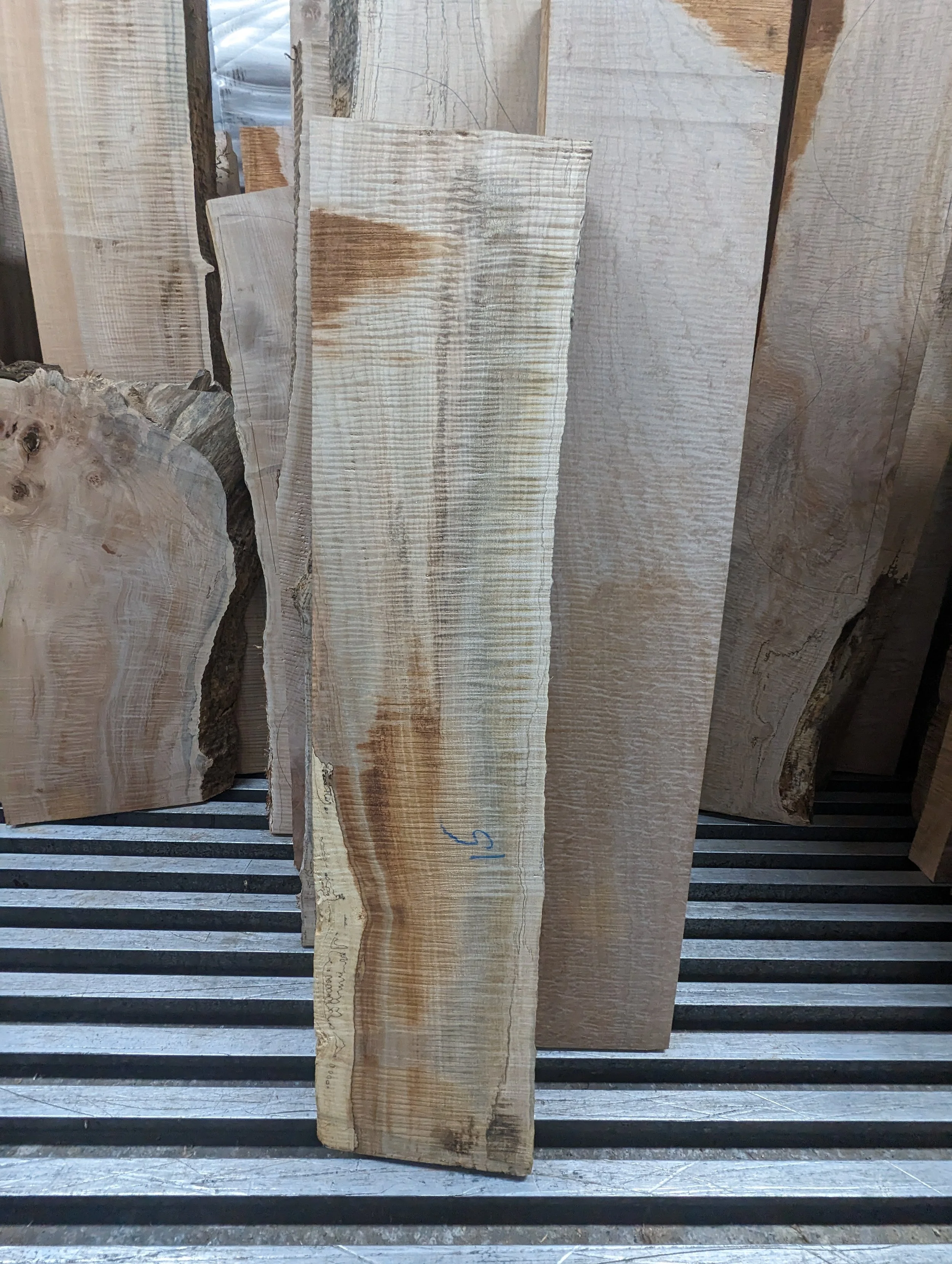 2024-03-28 13.09.48.jpg