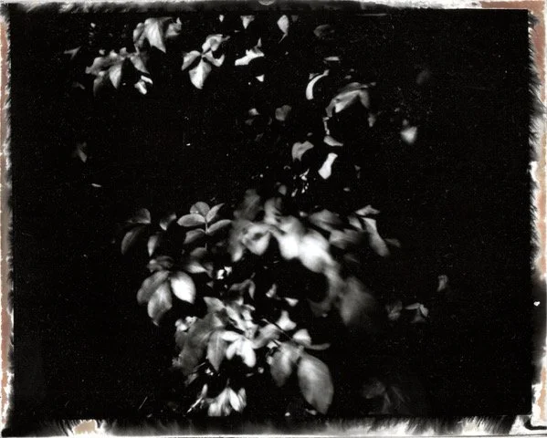 Unknown.jpeg
