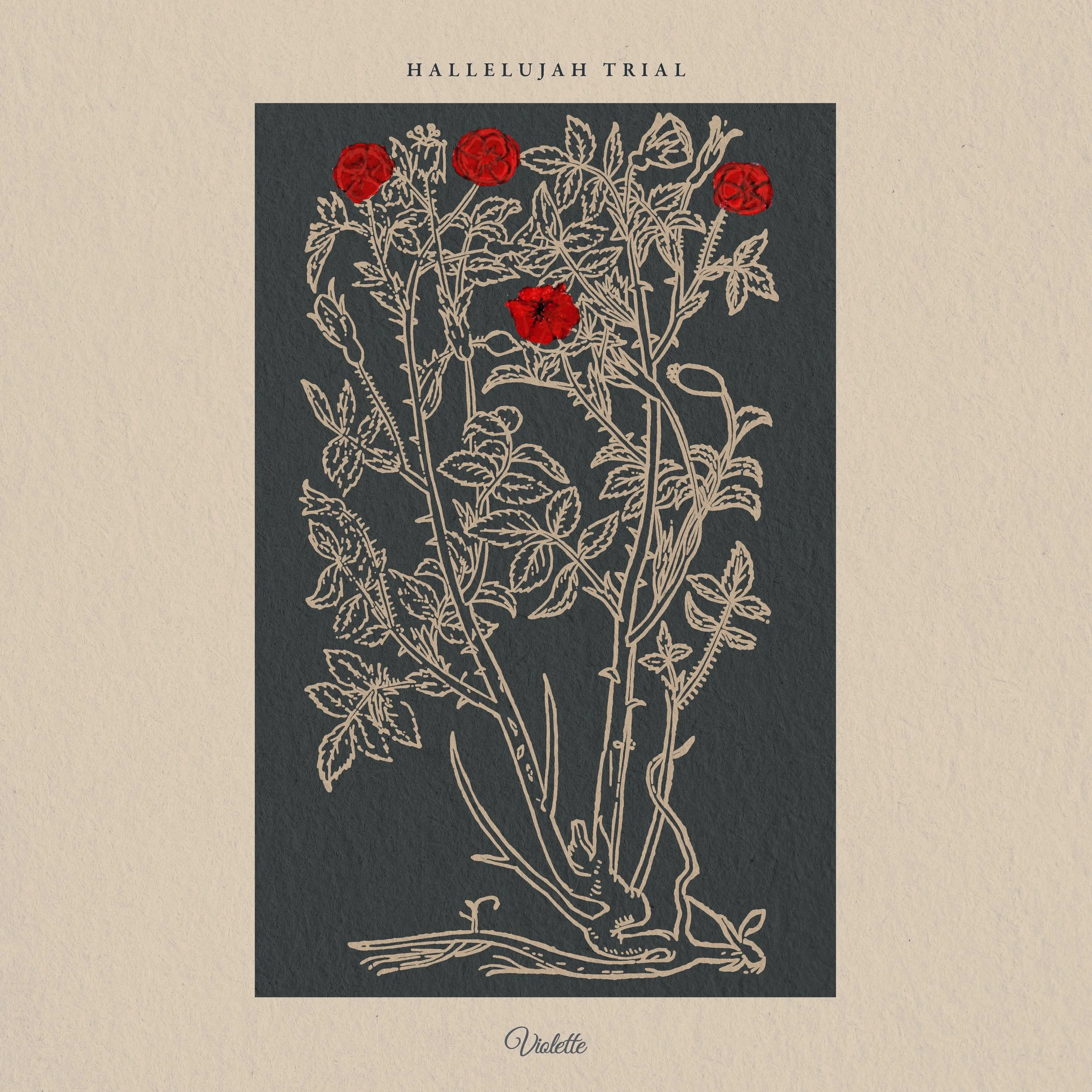 Hallelujah Trial_Cover3000.jpg