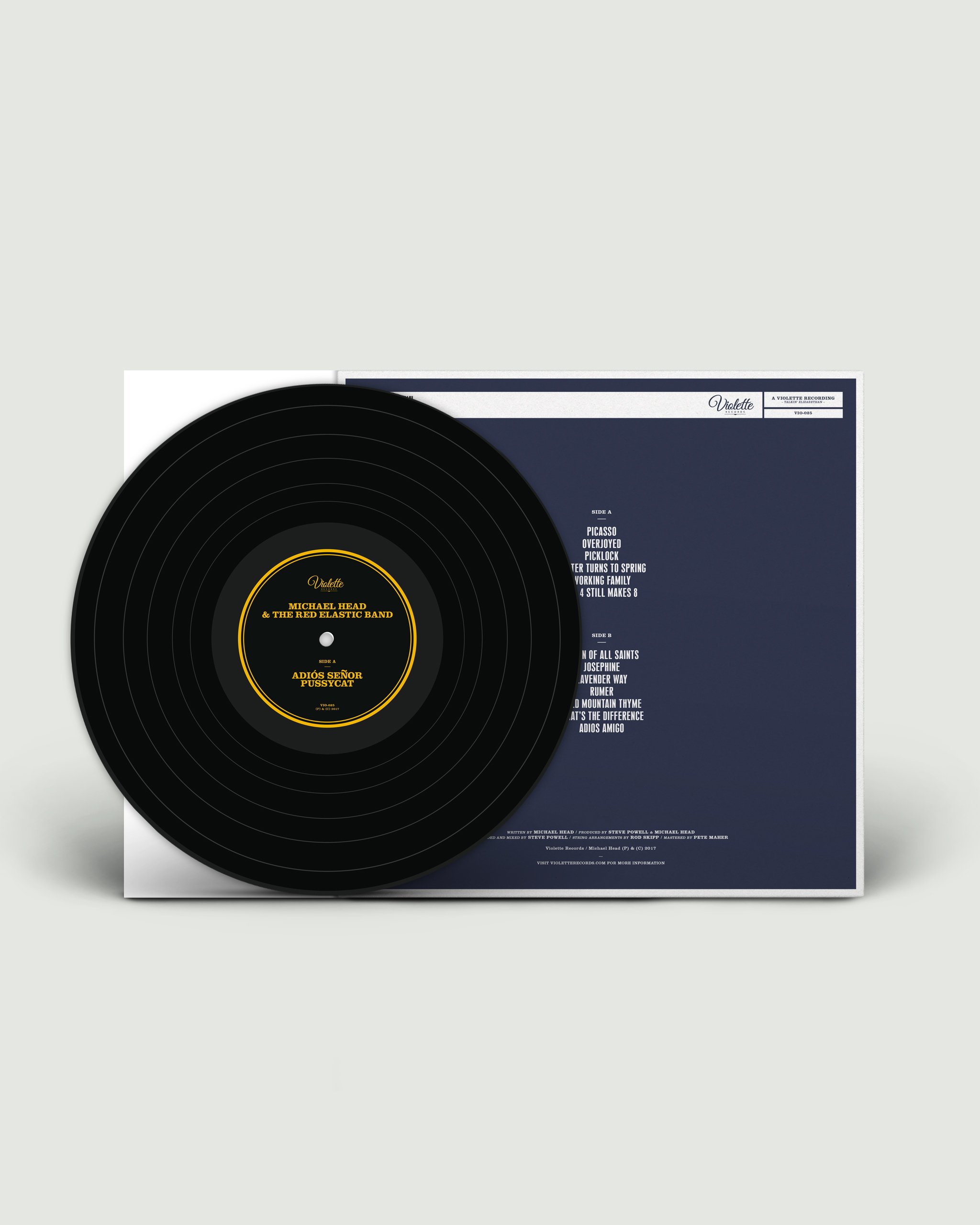 VIO_025_BACK+INNER+VINYL_REG.jpg