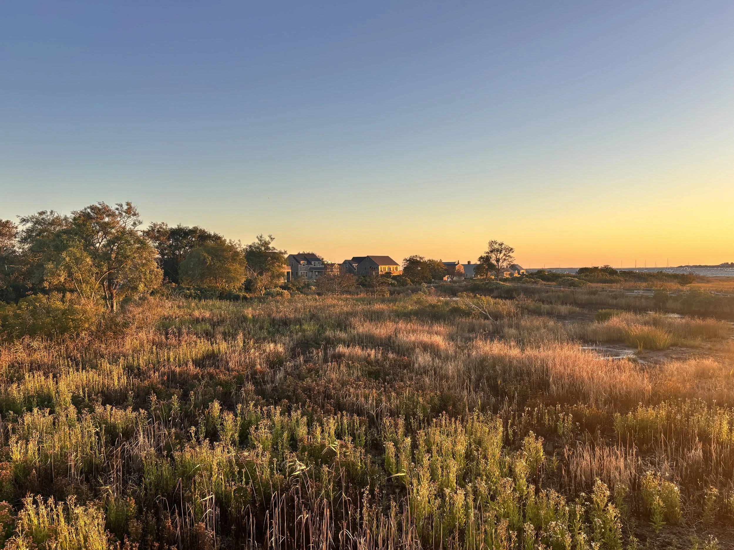 Little Island Scenes