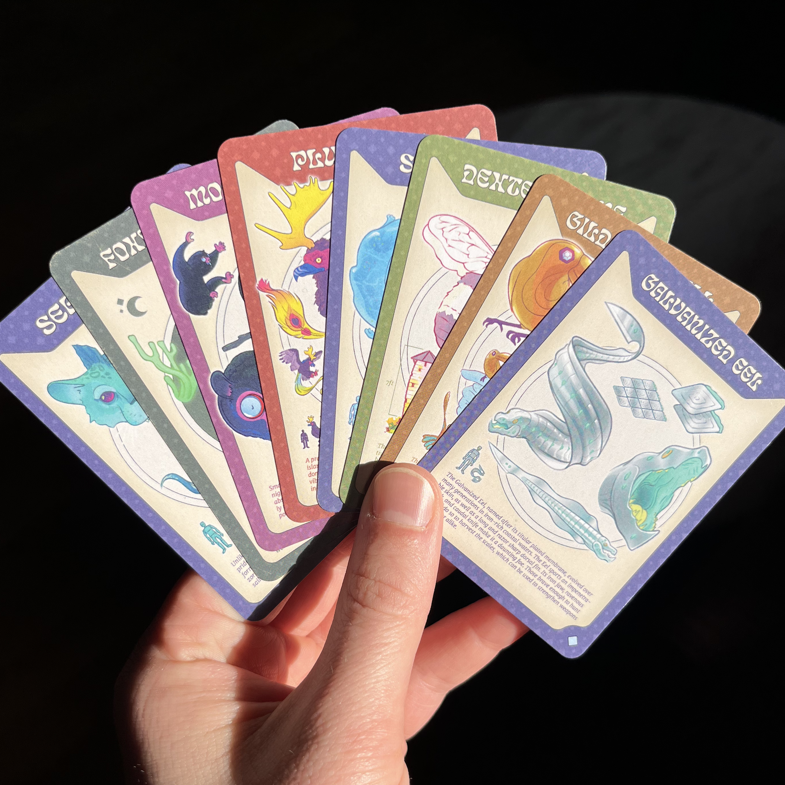 Collection 2.png