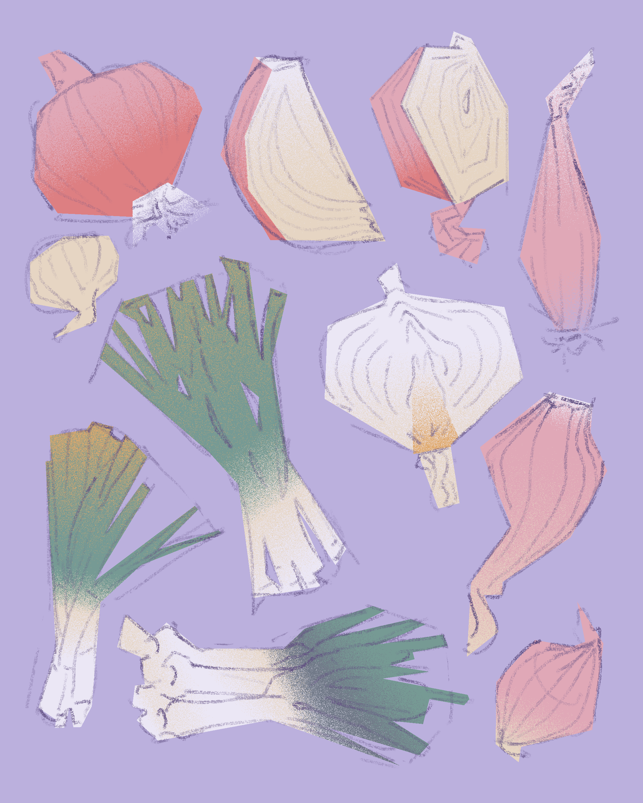 5_Onion.png