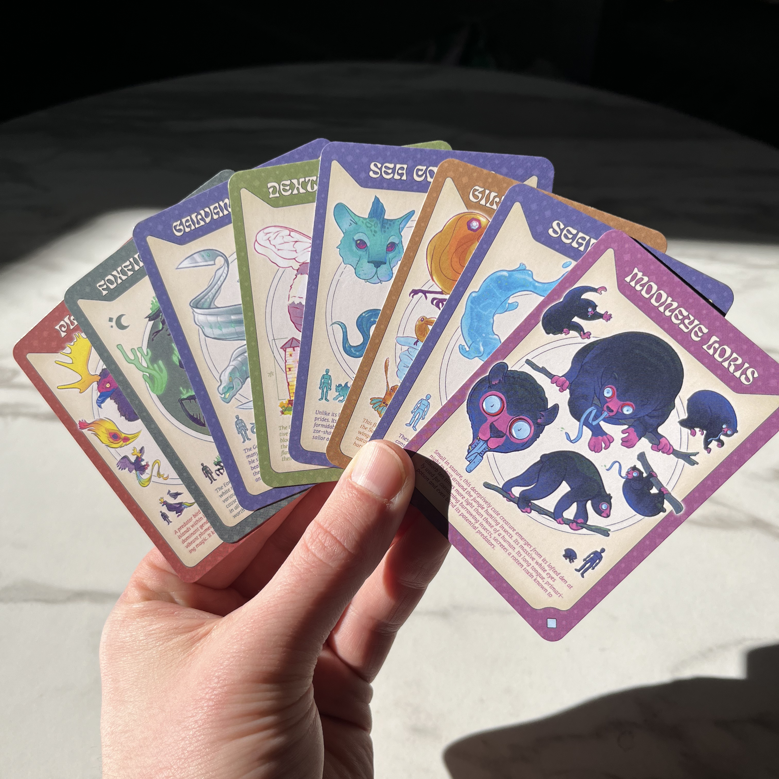Collection.png