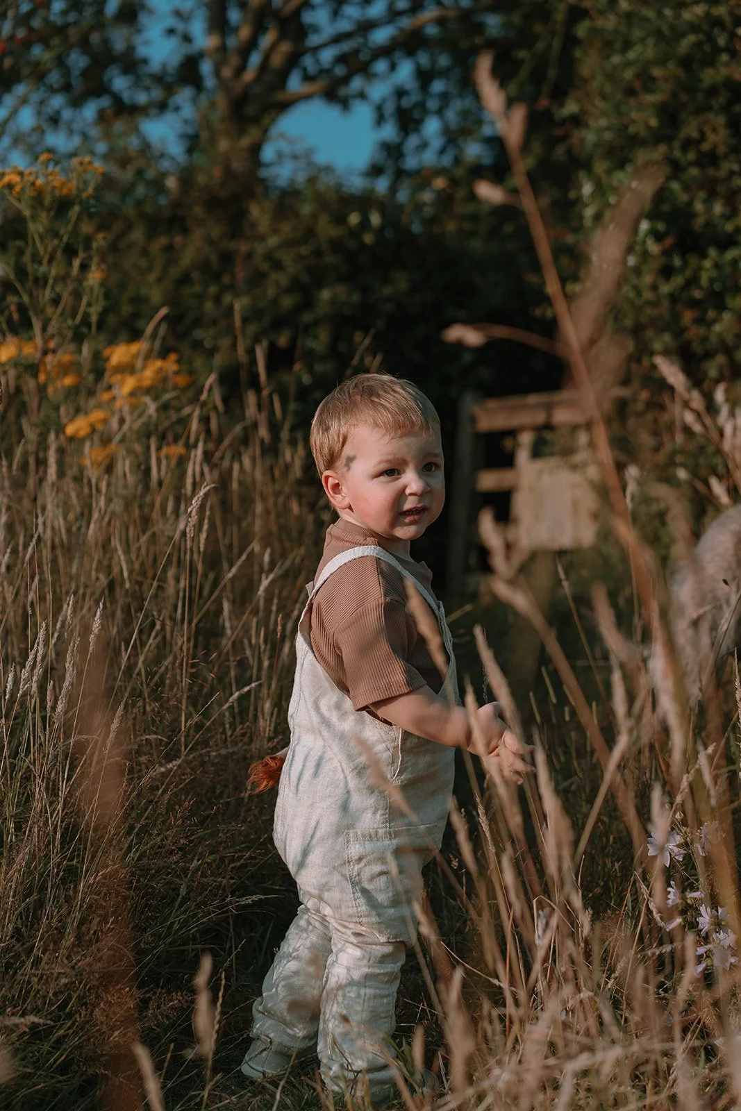 Nancy_Ross_Family_Photographer_Hana_Dallimore_Photo_Film-32.jpg