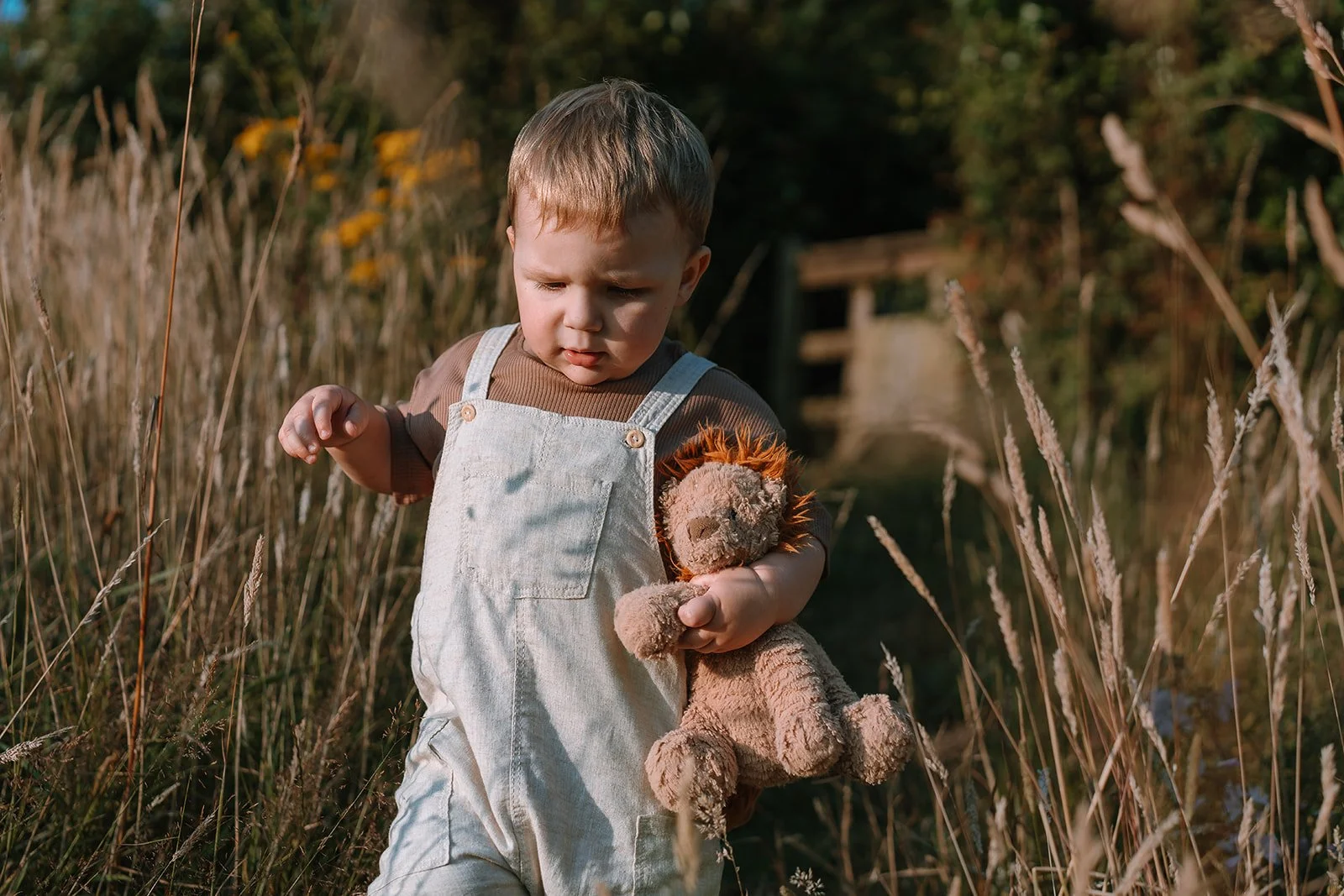 Nancy_Ross_Family_Photographer_Hana_Dallimore_Photo_Film-38.jpg