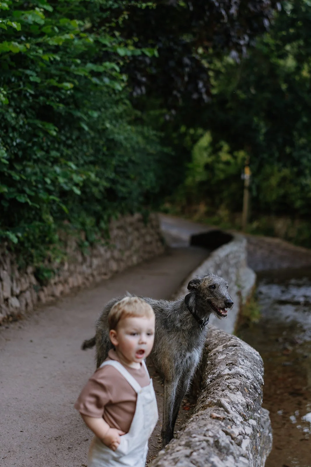 Nancy_Ross_Family_Photographer_Hana_Dallimore_Photo_Film-123.jpg