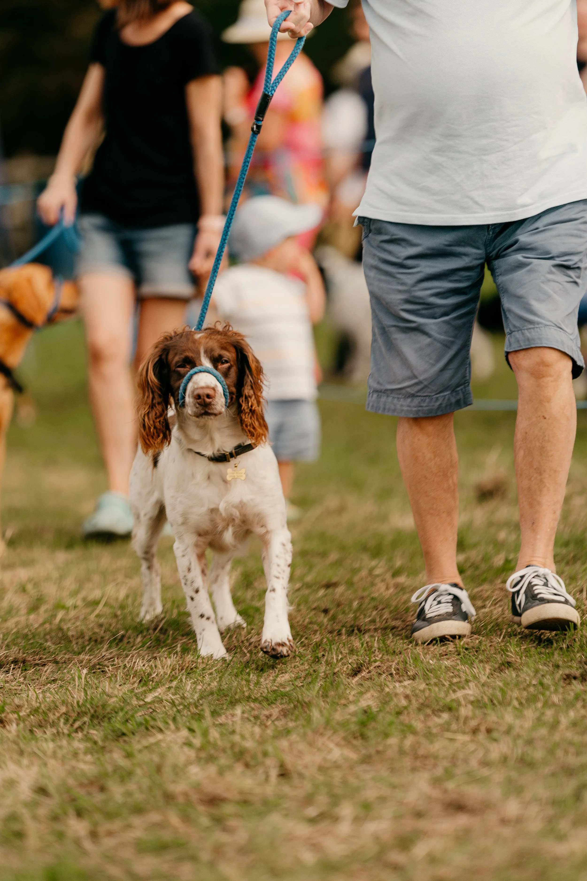 A dog wearing a muzzle being walked on a leash by a person in casual clothing at an outdoor event. Other dogs, children, and people are visible in the background.
