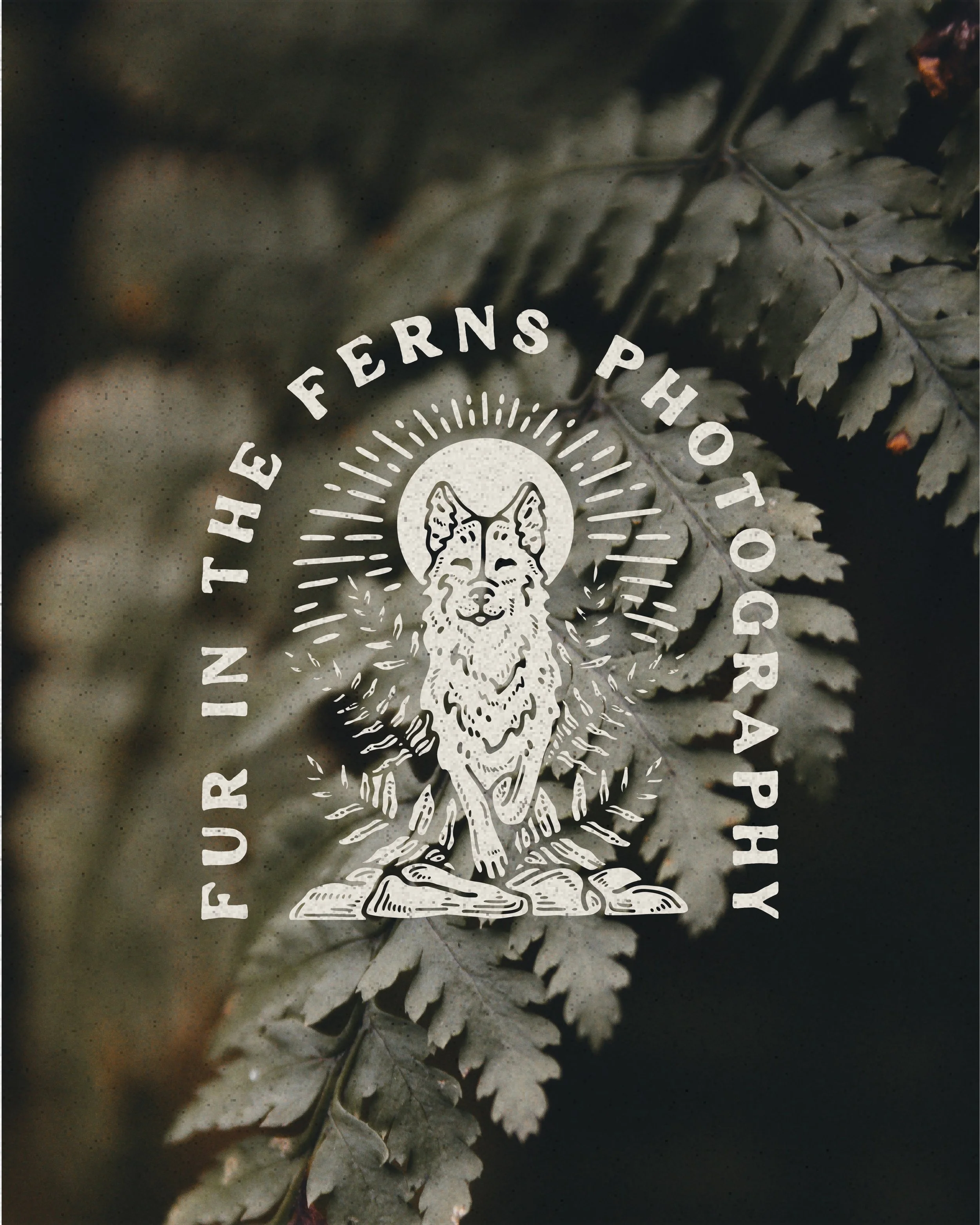 Fur in the Ferns Photography designed by Cindy Roaming Designs