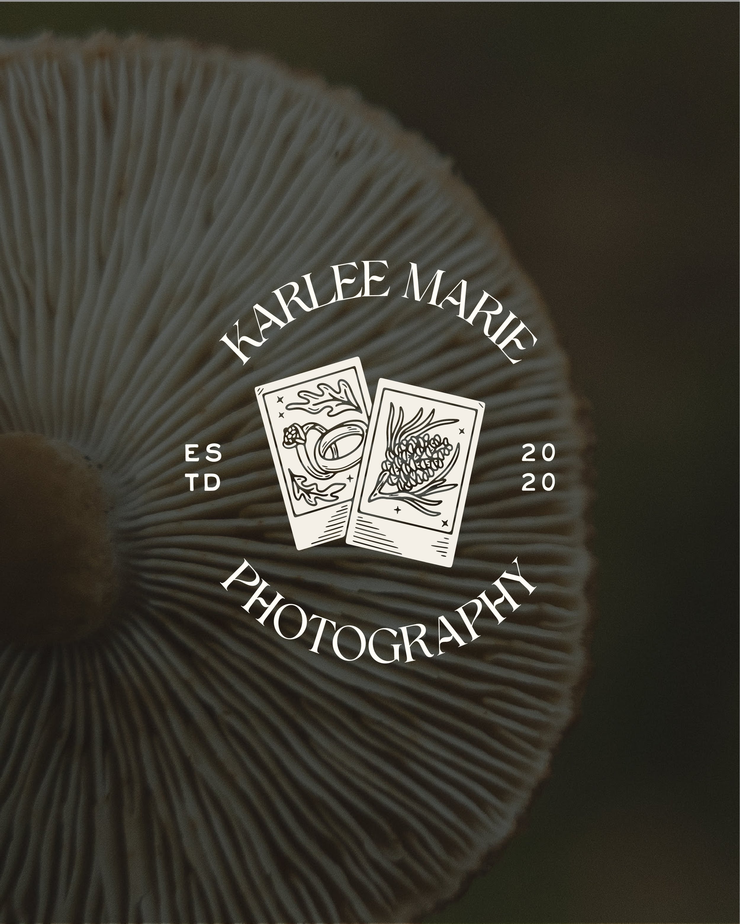 Karlie Marie Photography designed by Cindy Roaming Designs