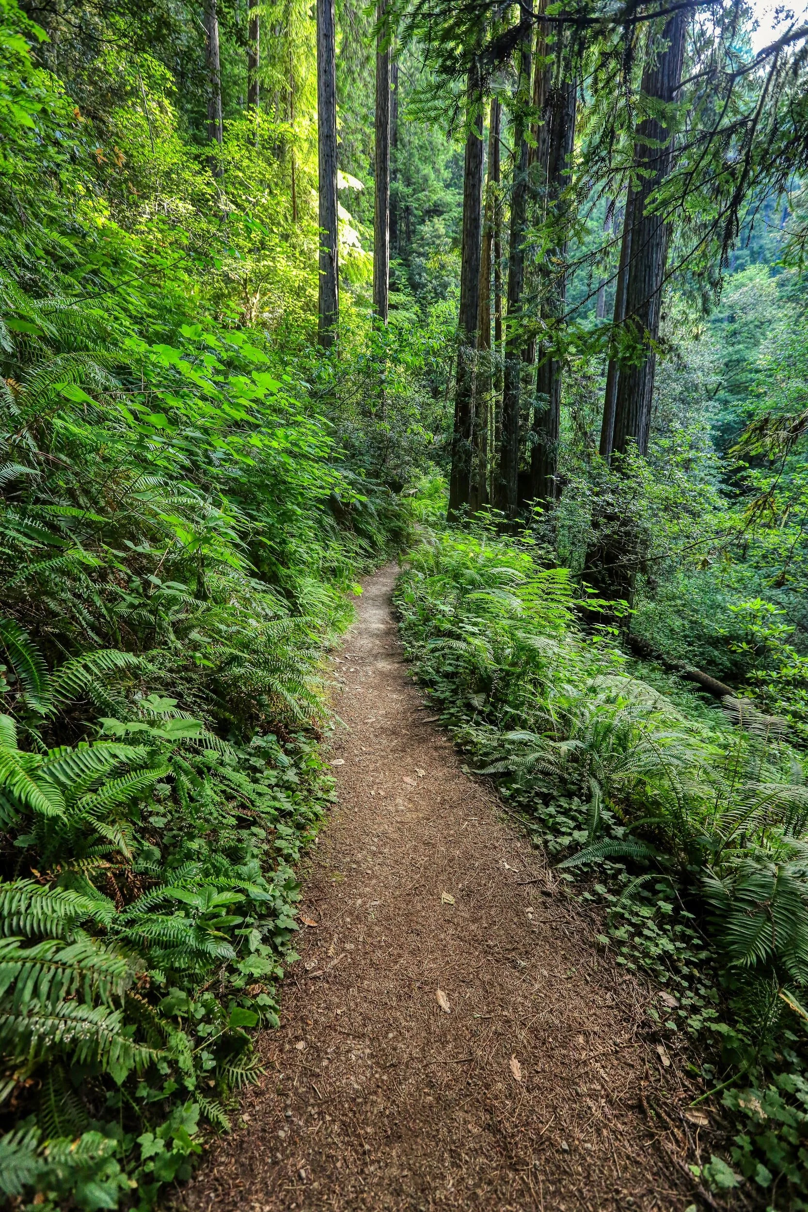 The Energy Management Pathway