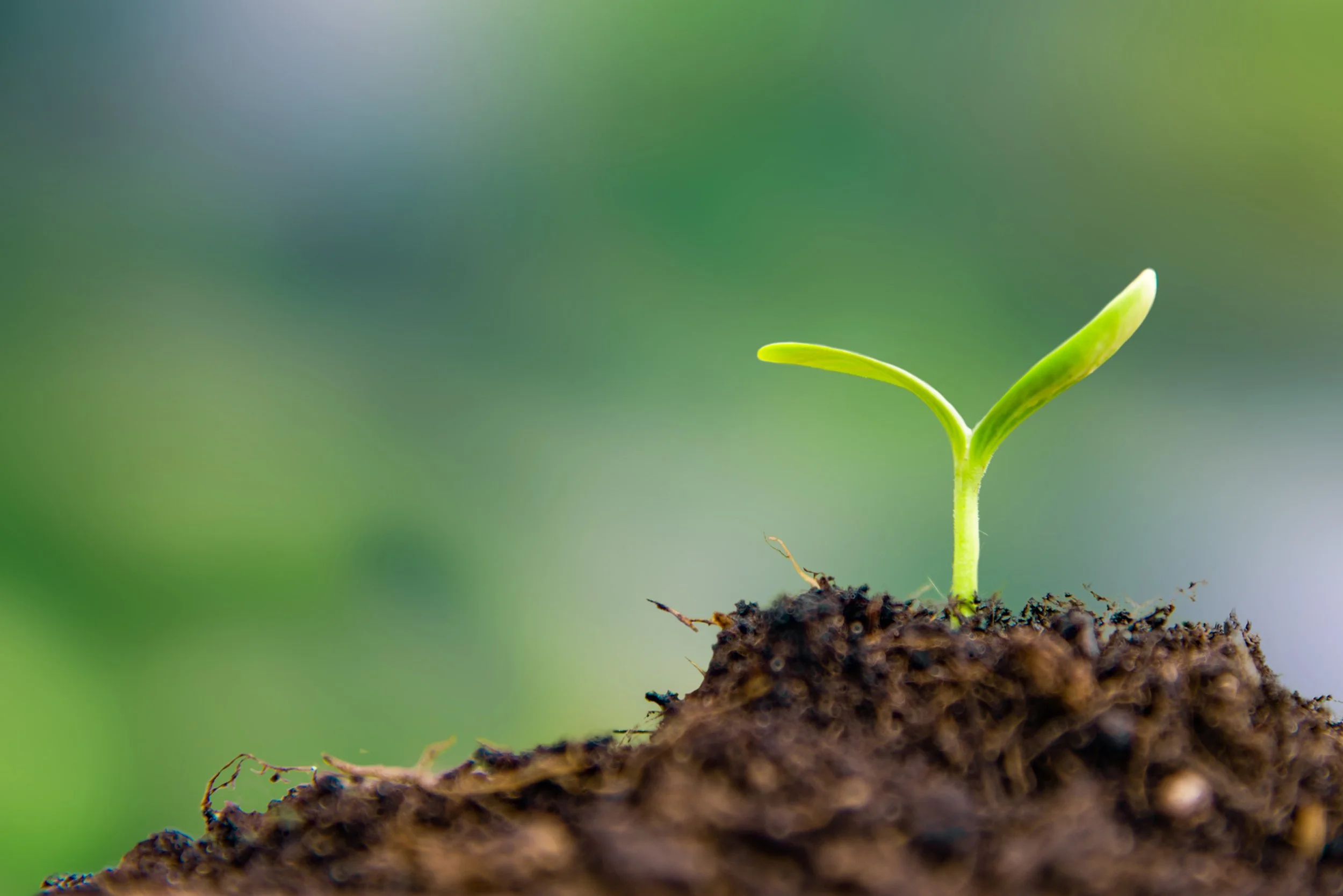 ISO 14001:2026 and What it Means for Manufacturers