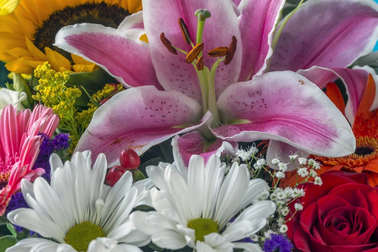 Top 10 Most Popular Flowers and What They Symbolize