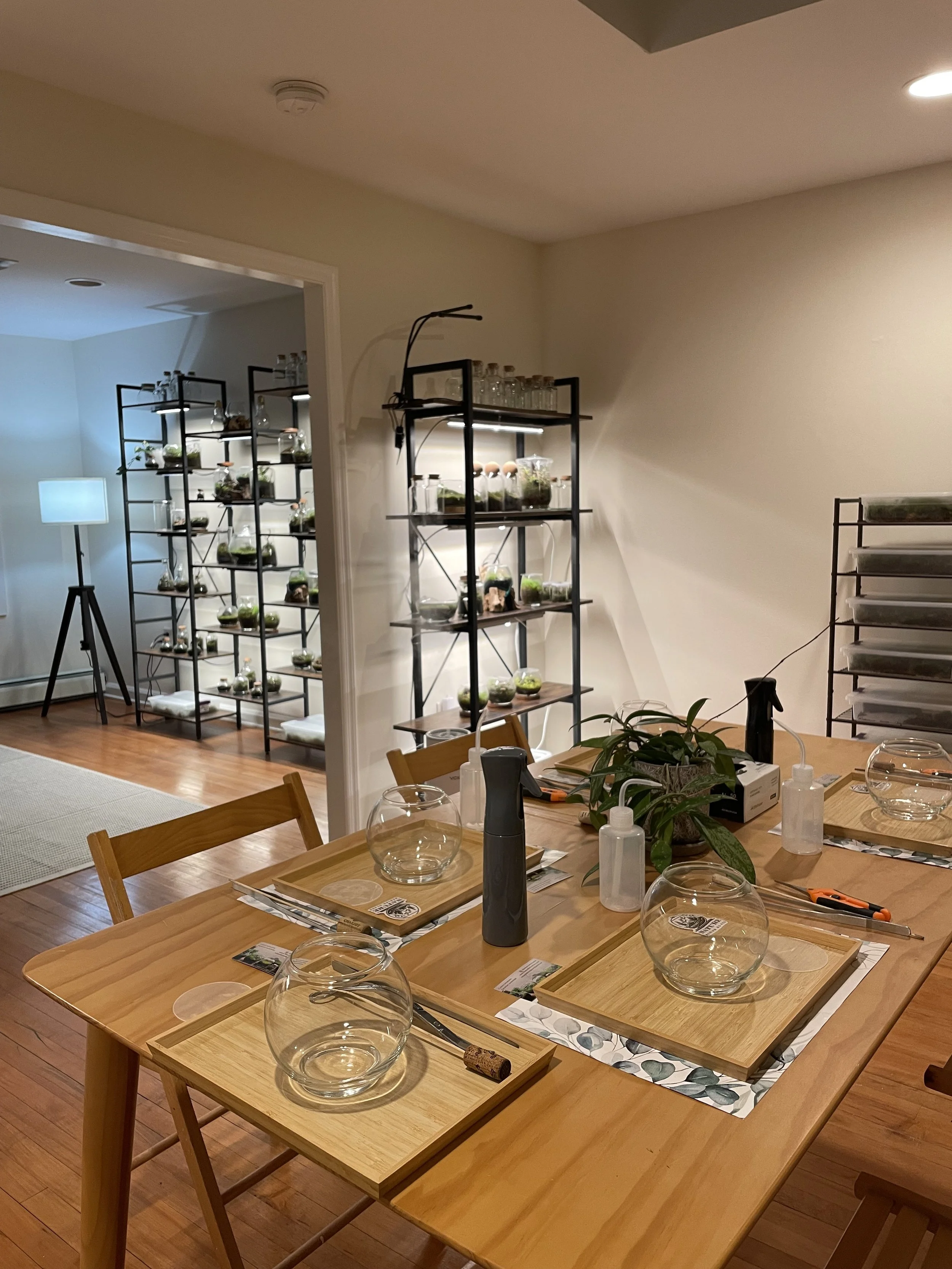 A dining table set for a meal with glass bowls, placemats, napkins, and cutlery. There are spray bottles and a potted plant on the table. In the background, a shelving unit holds terrariums and glass containers, with a room visible through an open doorway.