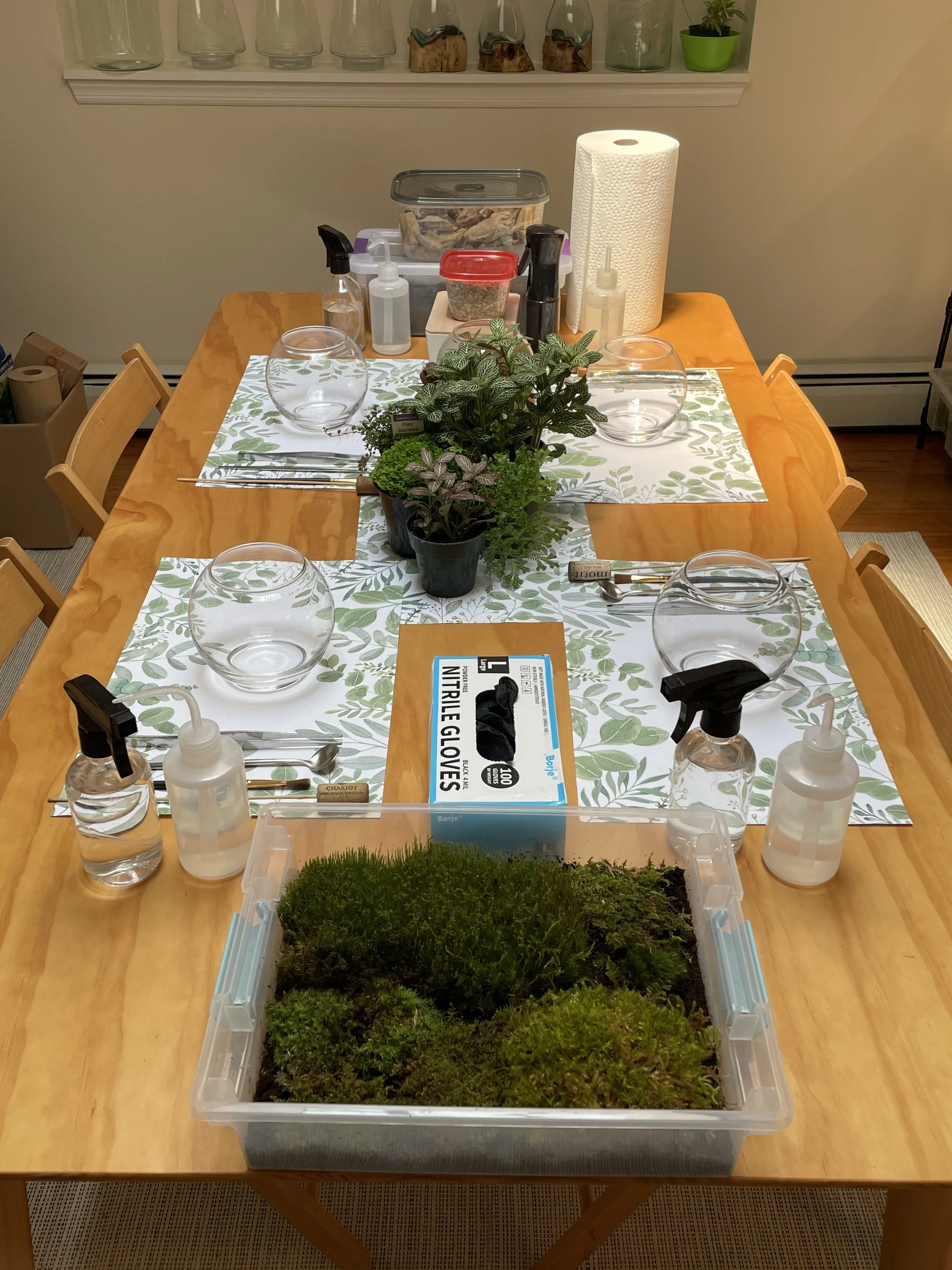 Four terrarium-building stations with glass bowls, tools, plants, and moss arranged on the workshop table.