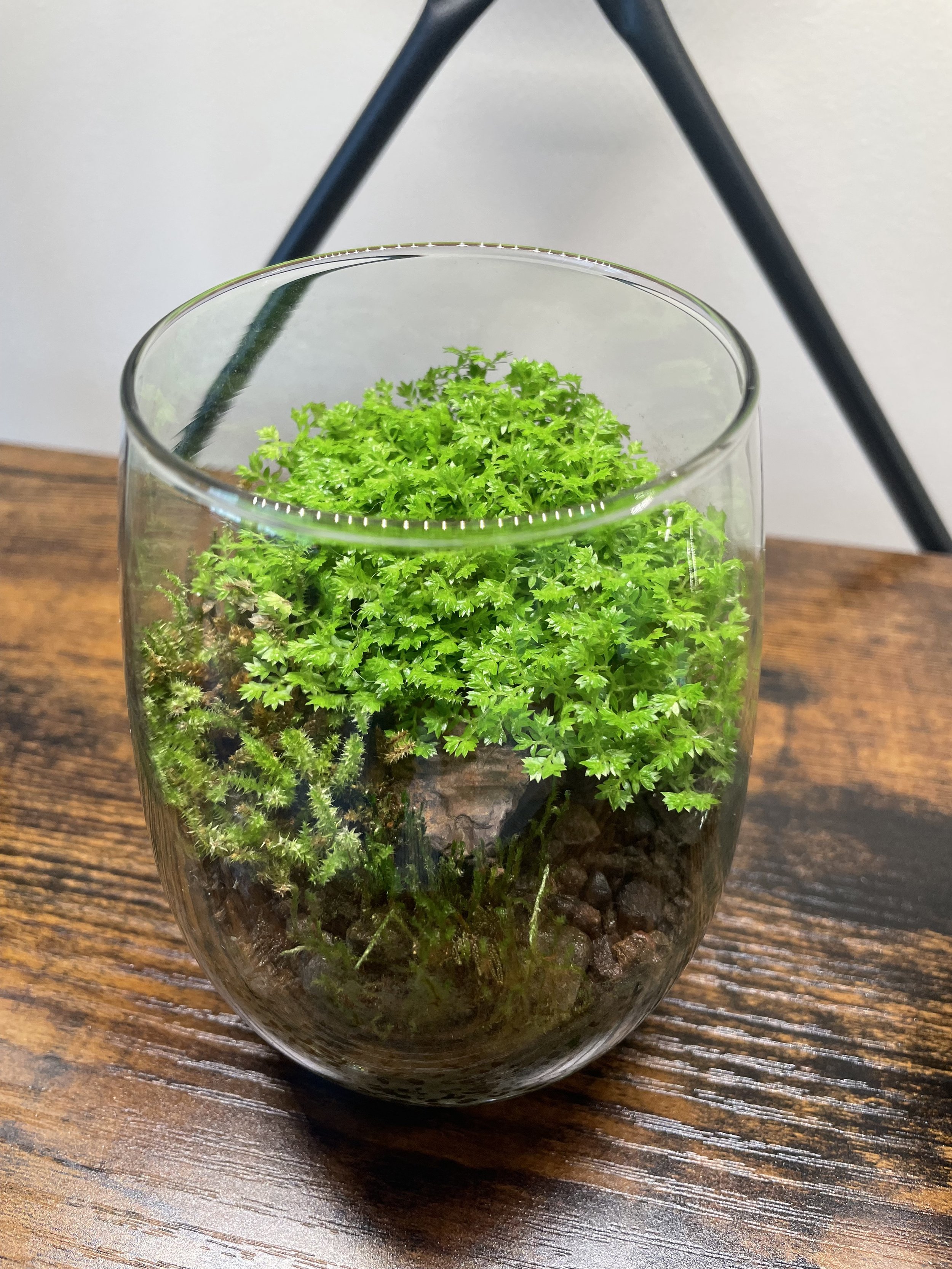 Small glass #2