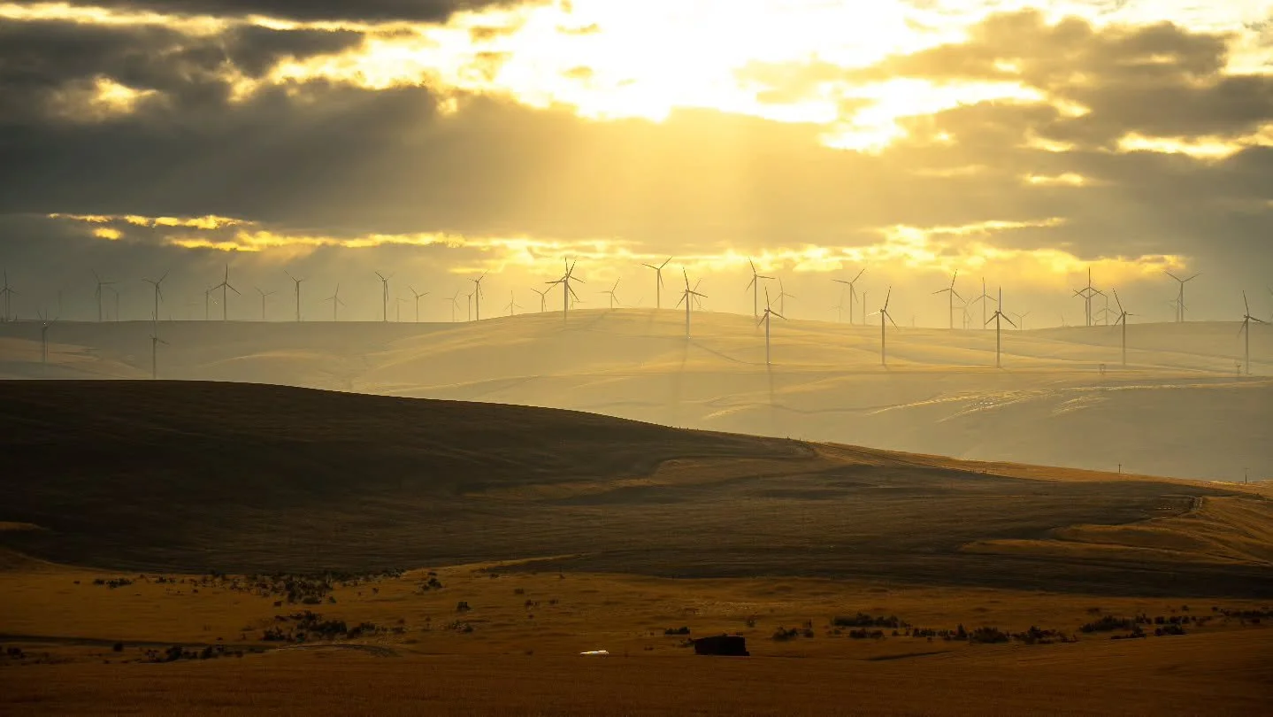 Wildlife habitat is not limited to national parks or remote wilderness. It exists in farm fields, along roadways, behind neighborhoods, and in small patches of woods across North America. 

Every acre that provides food, water, shelter, or space for 