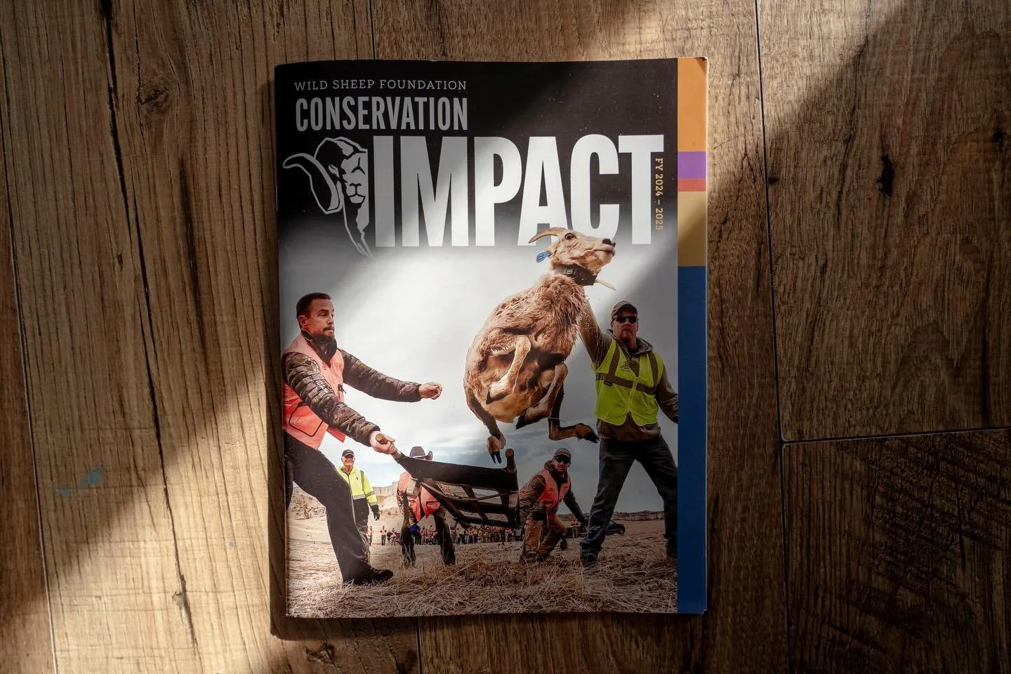 It was really exciting seeing some photos I&rsquo;d taken along side the awesome writing of my good friend @thechestermoore in the Conservation Impact document published by the @wildsheepfoundation. I&rsquo;m very grateful to have been able to docume