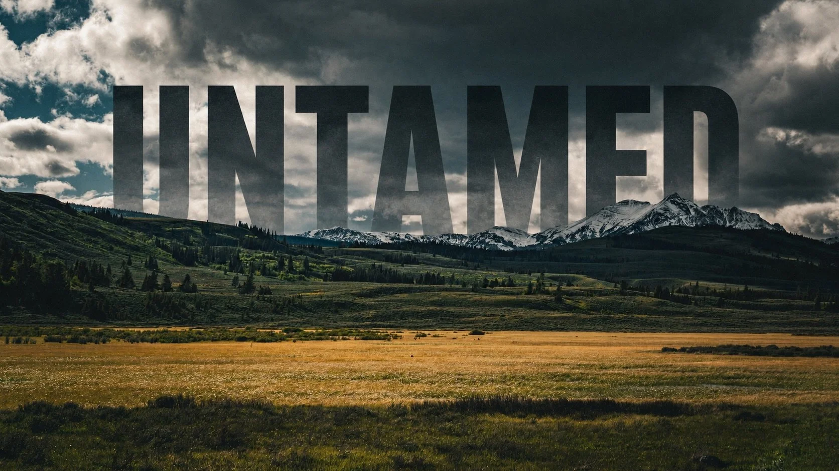 Untamed 

Some places remind you that the world is a lot bigger than you.

Yellowstone is shaped by weather, wildlife, fire and time. Standing beneath a sky like this reminds you how small you are and why places that remain truly untamed are worth pr
