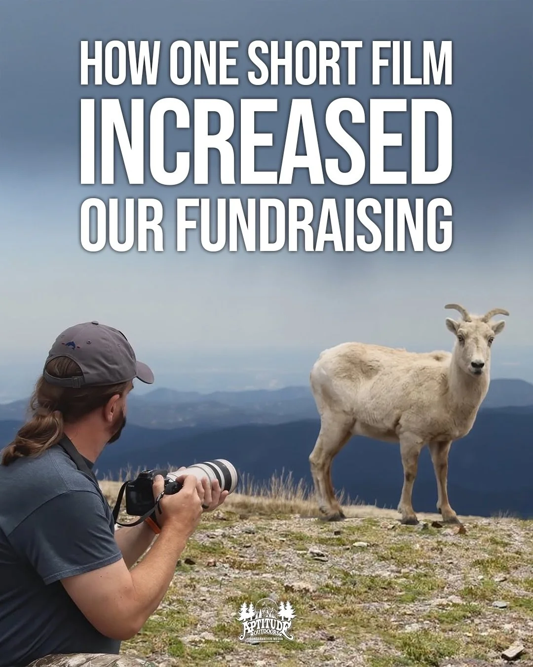 Sometimes it is difficult to put the impact of our work into words.

We can explain Wild Wishes&reg; and how the program gives children facing extraordinary circumstances opportunities to experience wildlife in unforgettable ways. We can talk about o