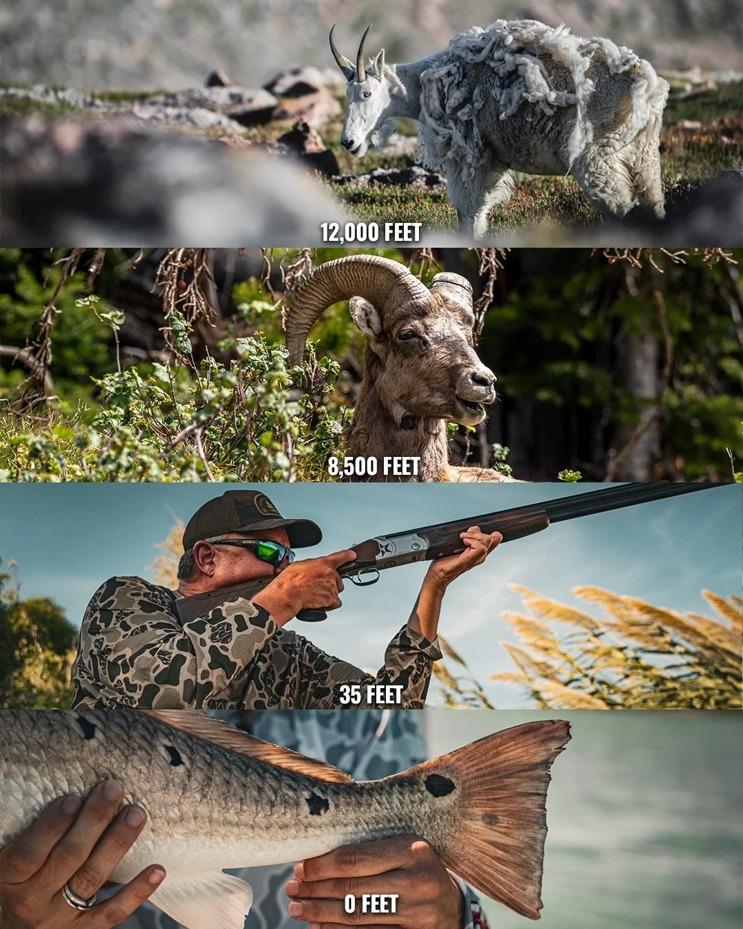 12,000 feet. 8,500 feet. 35 feet. Sea level.

Conservation work does not always happen somewhere comfortable or convenient. It happens above treeline, deep in the backcountry, on the water, behind the border wall and everywhere in between.

That is w