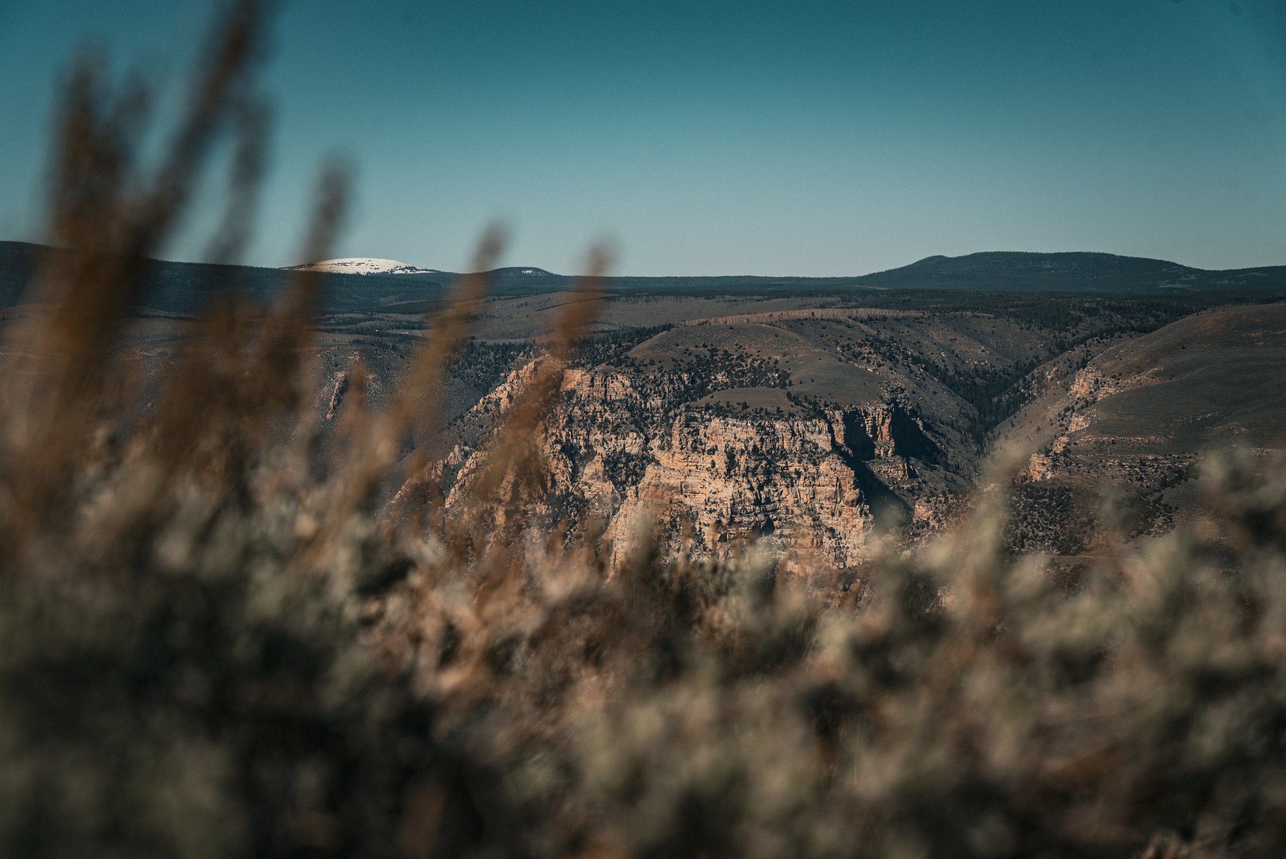 The Utah backcountry is astounding.

Spending 5 days on some gorgeous public lands is the best way to spend my time that I can think of