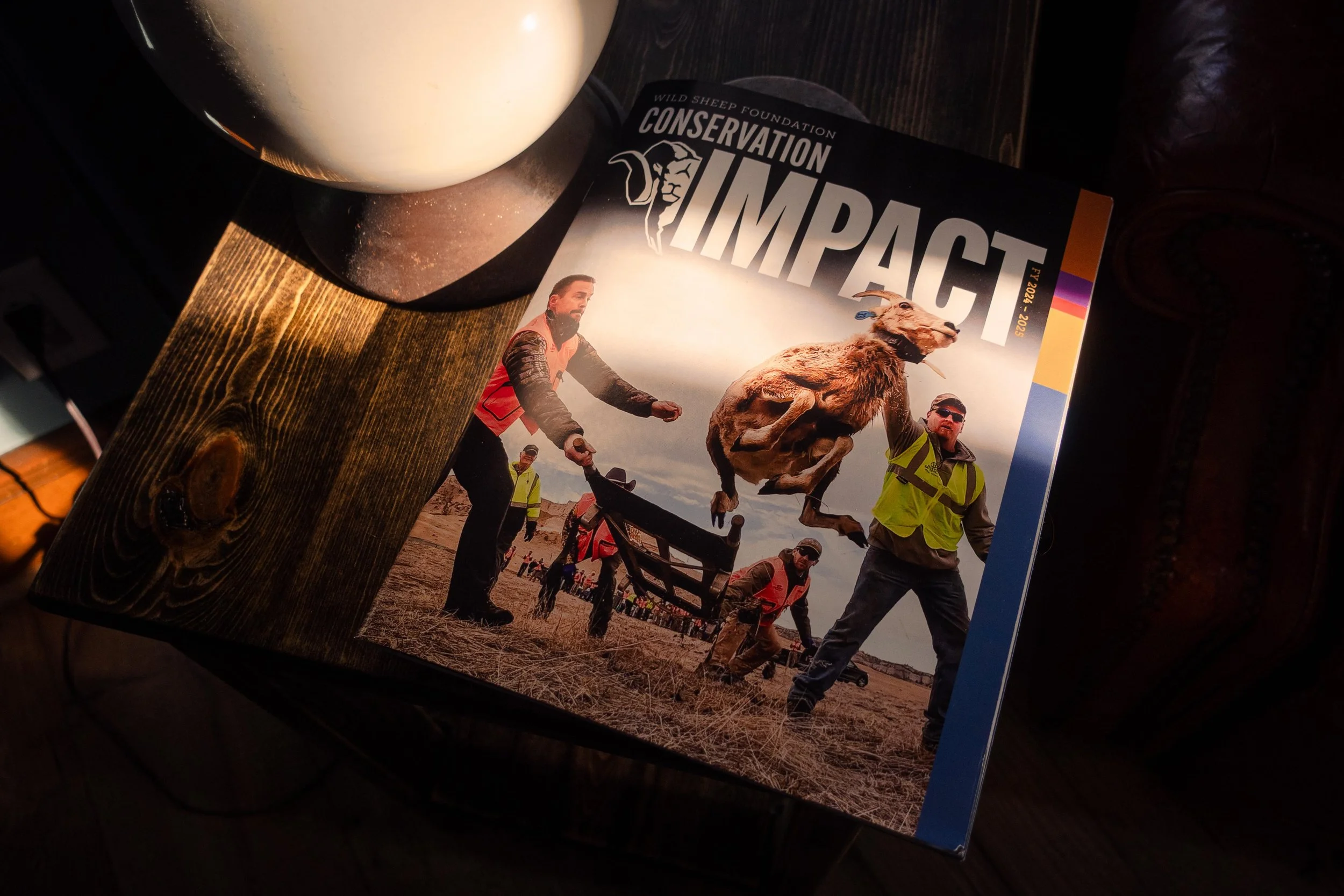Aptitude Outdoors Photography Featured in Wild Sheep Foundation Conservation Impact Study