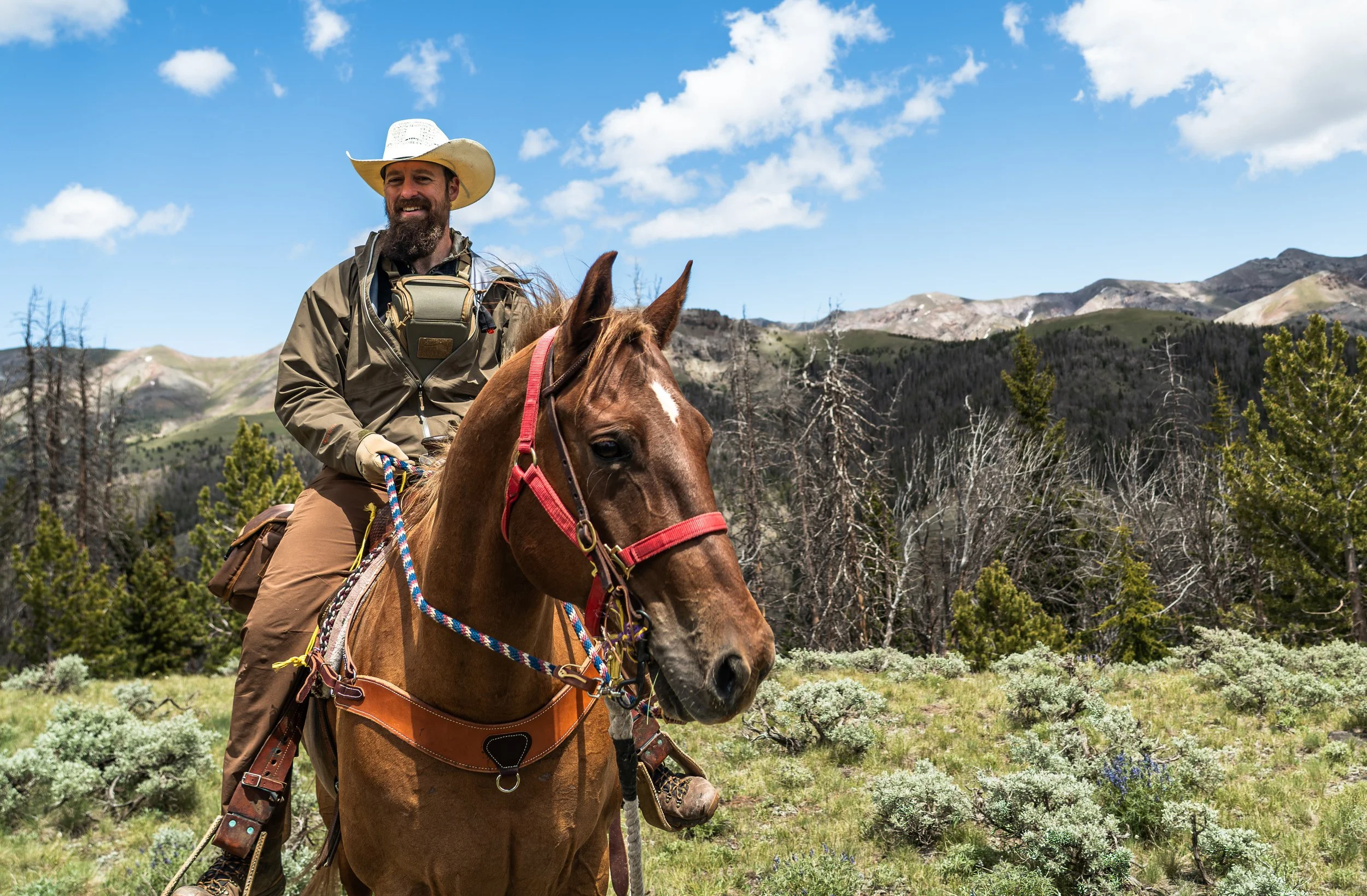 Seven Days in Wyoming's Washakie Wilderness: Filming the Story of Bighorn Sheep Country