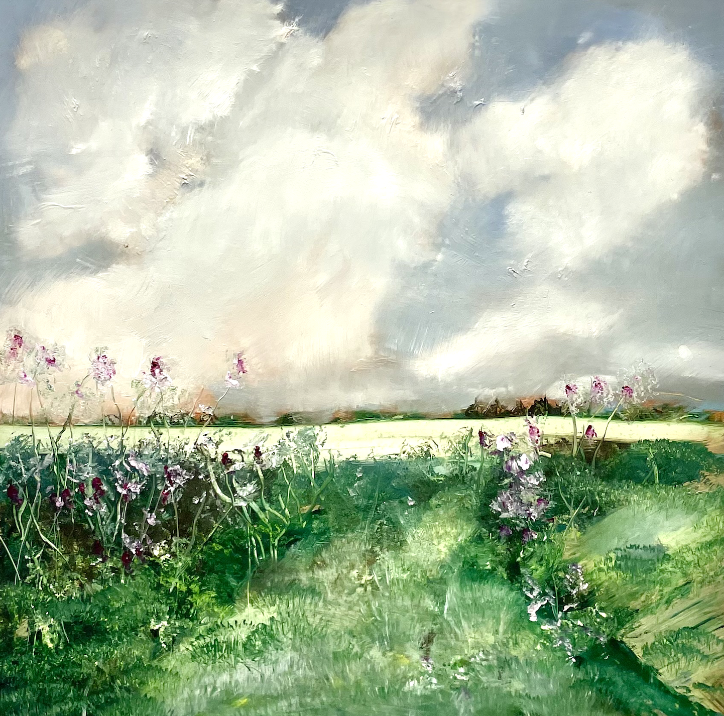 Lavender Trail by Toni Swarthout