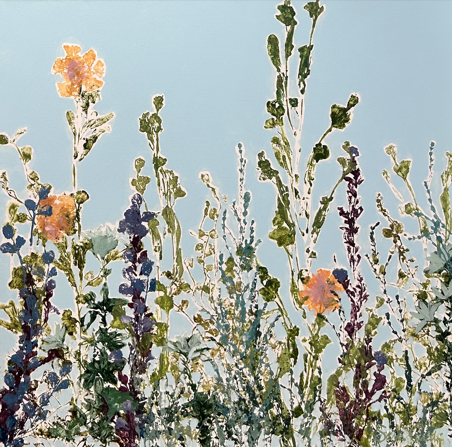 Up and Away by Sara Cameli