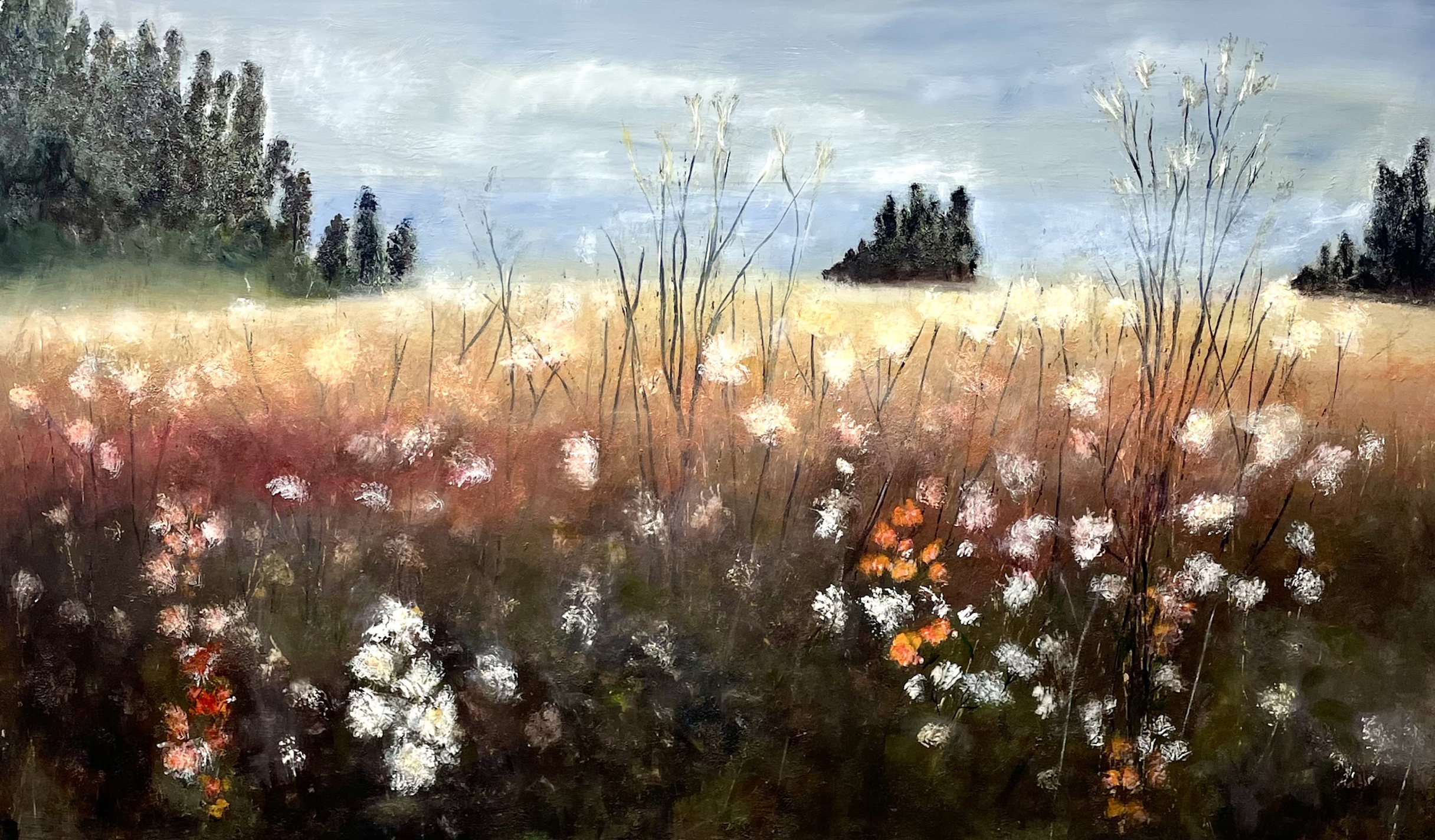 Flower Field by Toni Swarthout