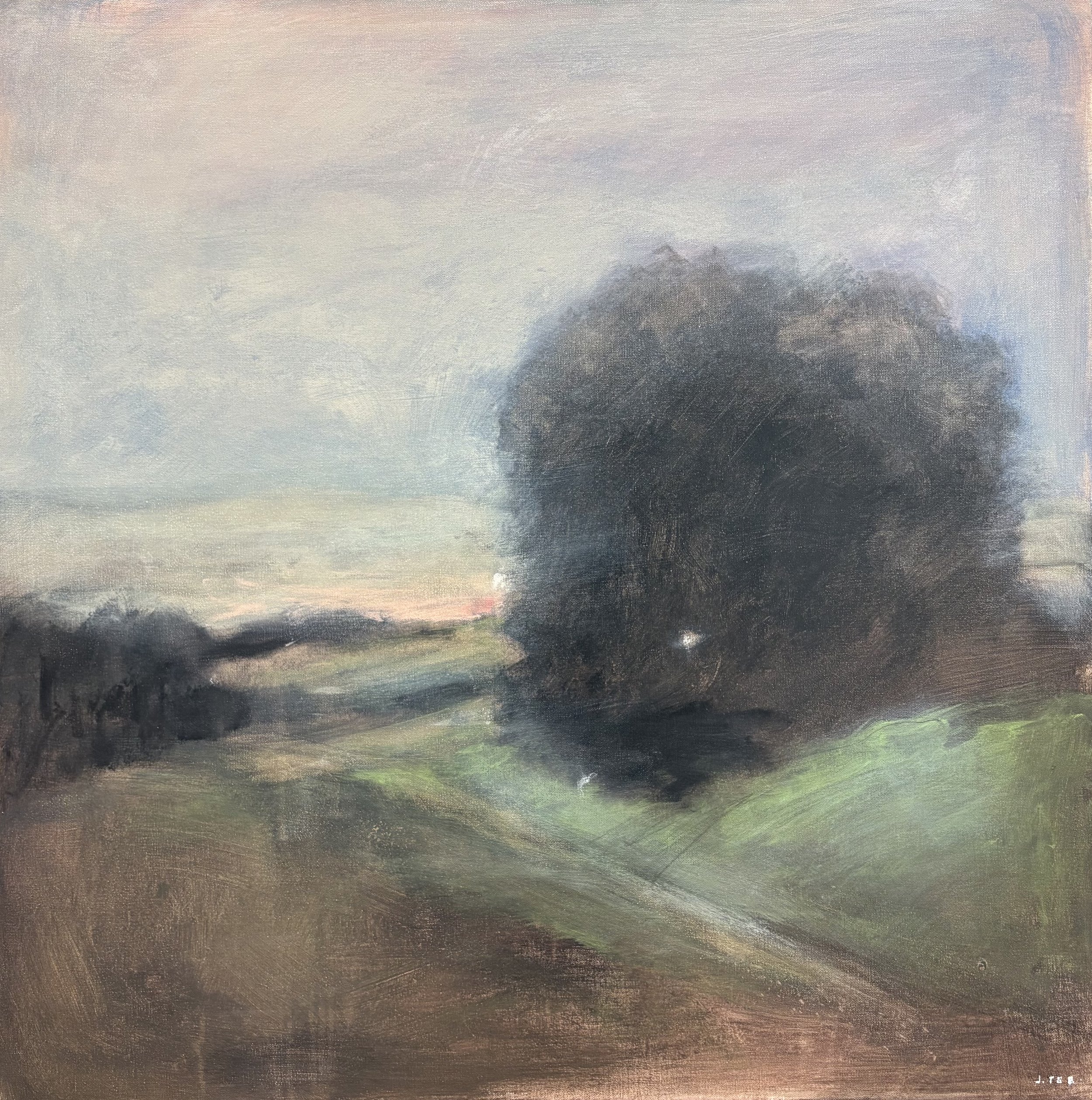 New Meadows by John Tee