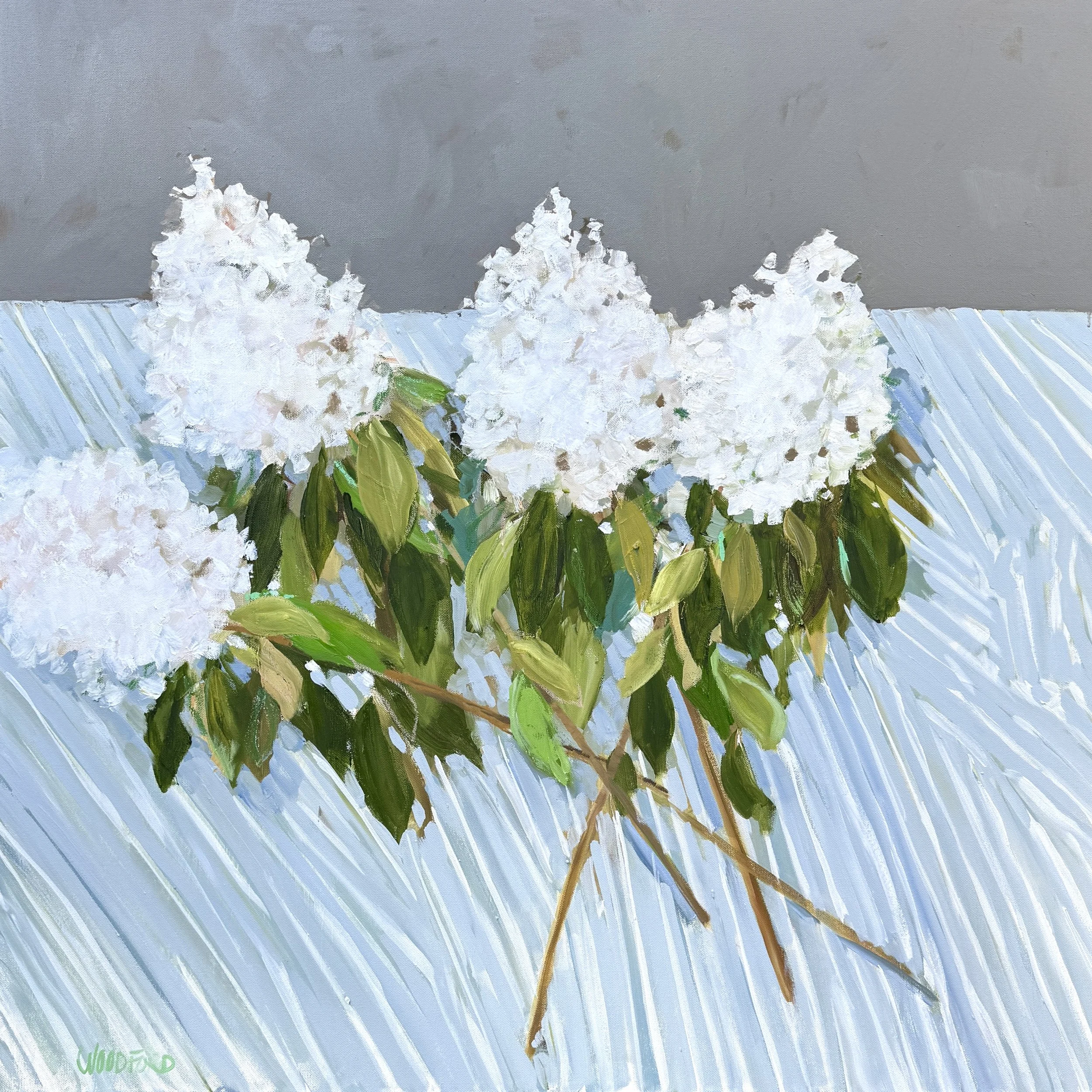 Hydrangea Harvest by Shannon Woodford